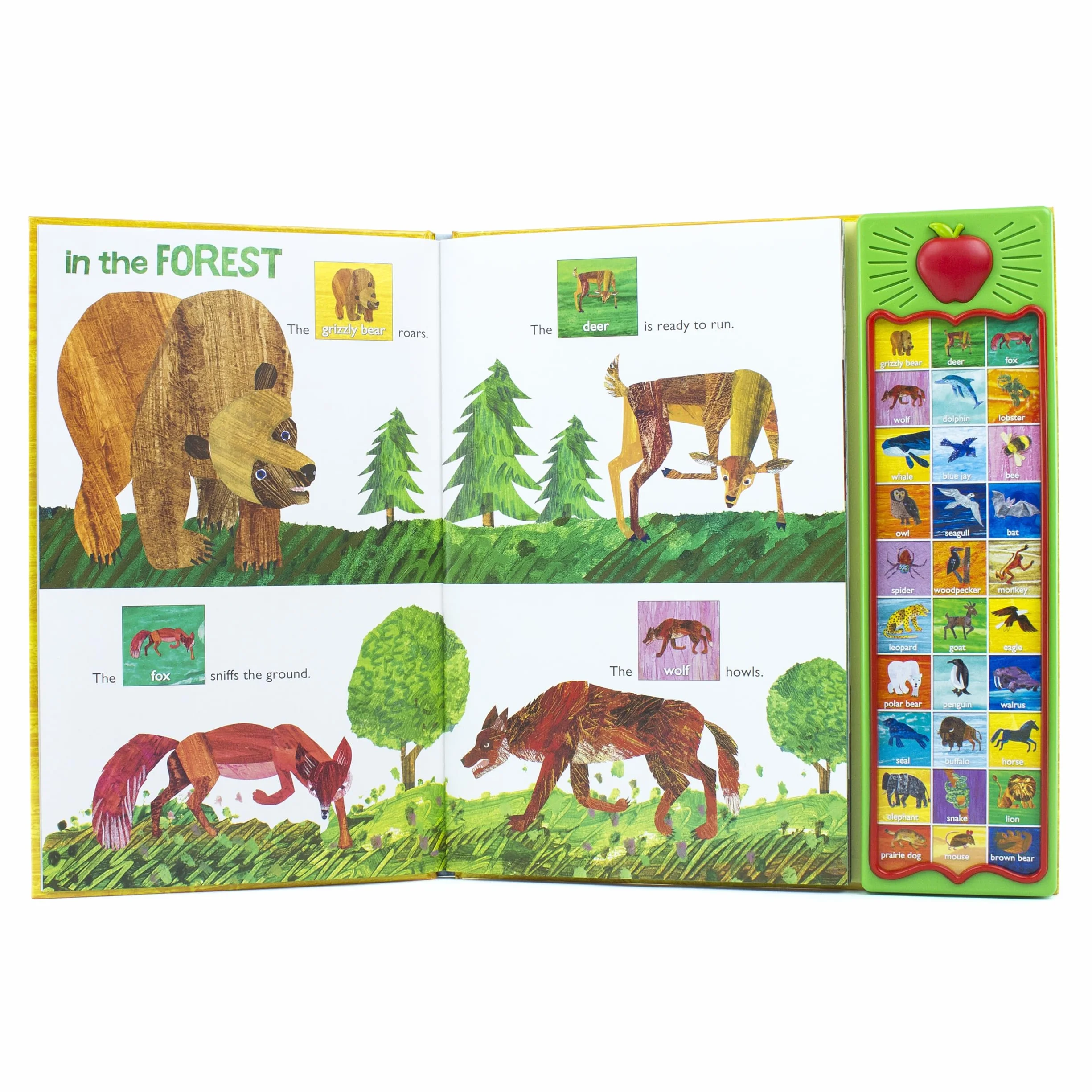 Eric Carle: Hear Bear Roar Sound Book