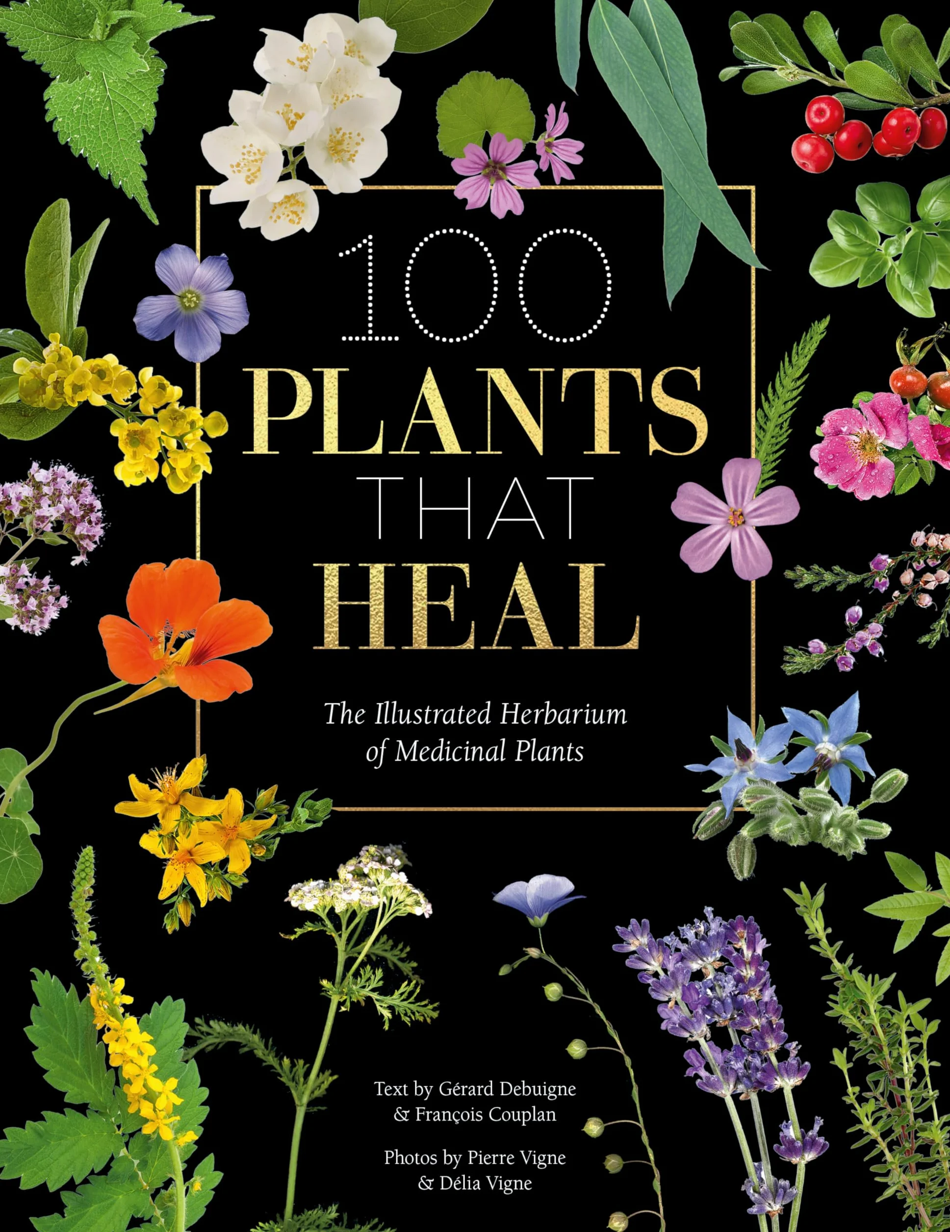 100 Plants That Heal: The Illustrated Herbarium of Medicinal Plants