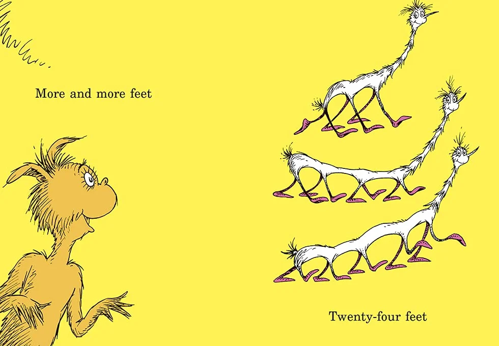 The Foot Book