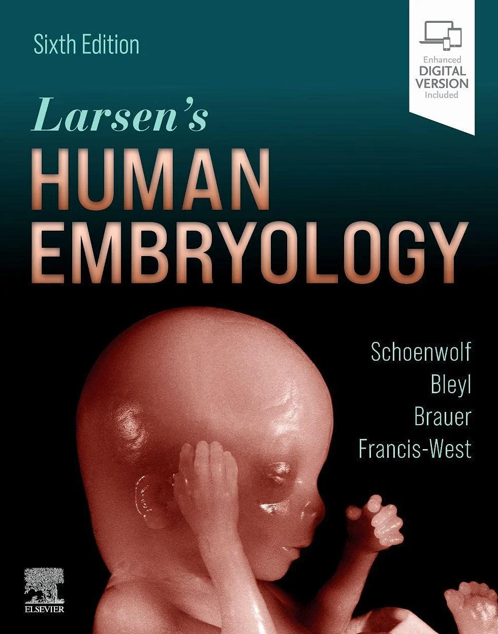Larsen's Human Embryology
