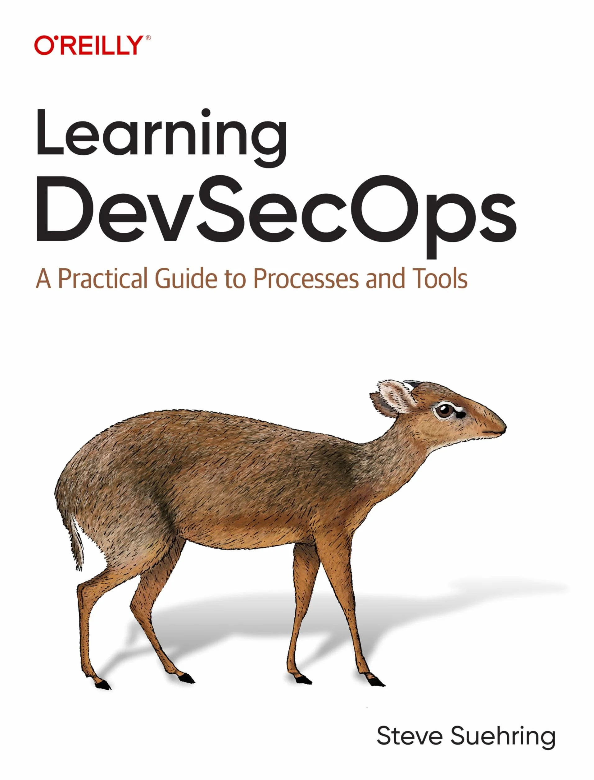 Learning Devsecops: A Practical Guide to Processes and Tools