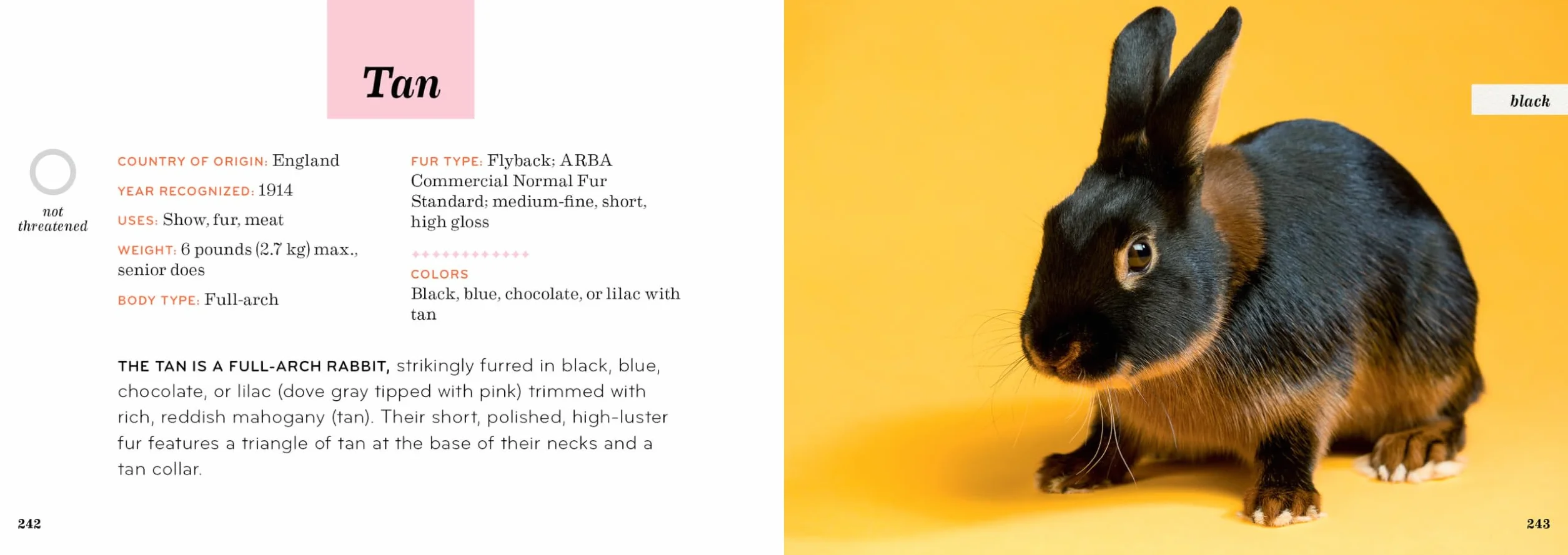 Rabbit Breeds: Pocket Guide to 49 Essential Breeds