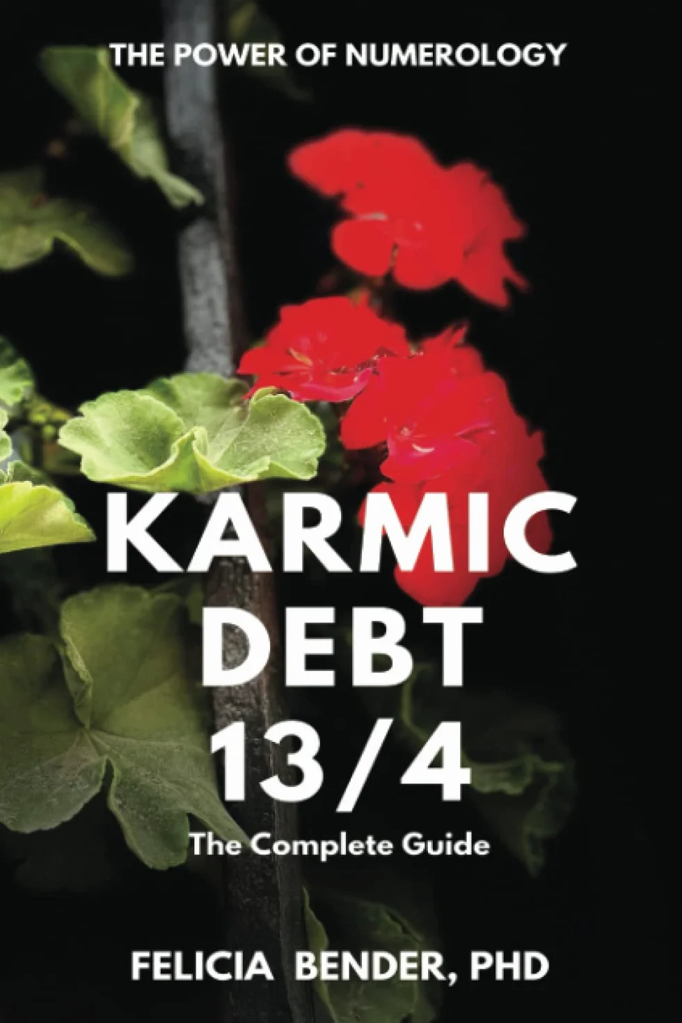 Karmic Debt 13/4: The Complete Guide