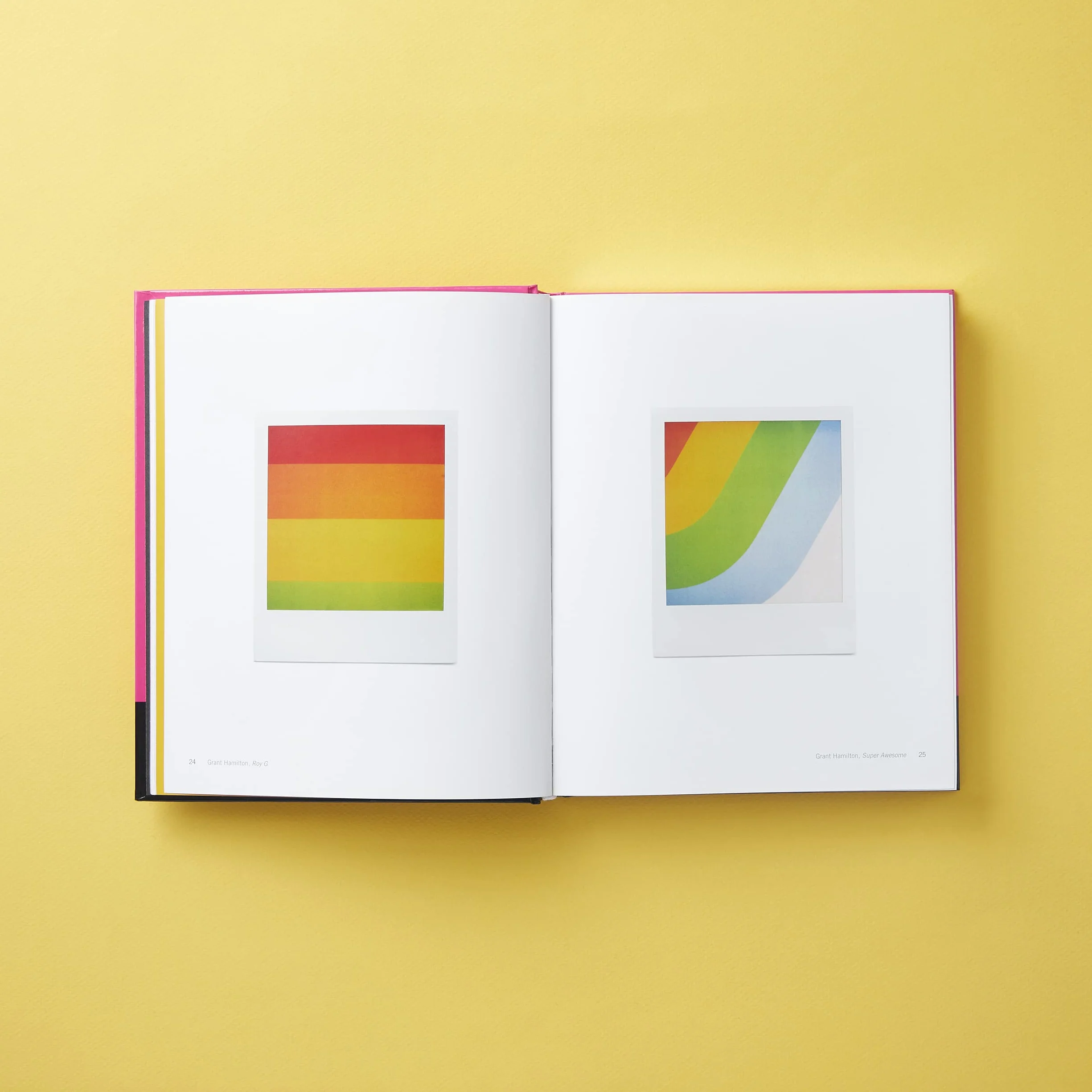Polaroid Now: The History and Future of Polaroid Photography