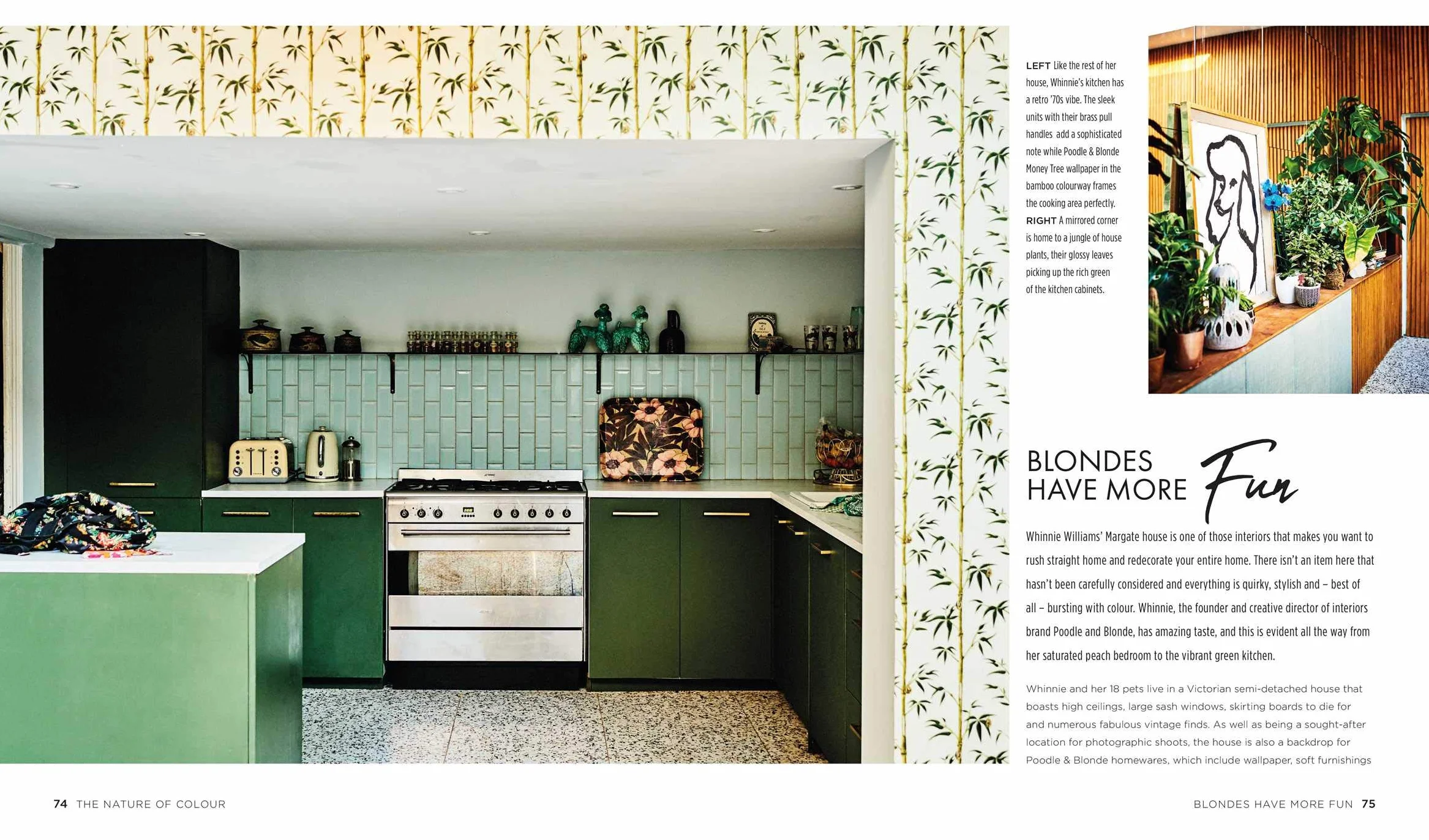 Rockett St George Extraordinary Interiors in Colour