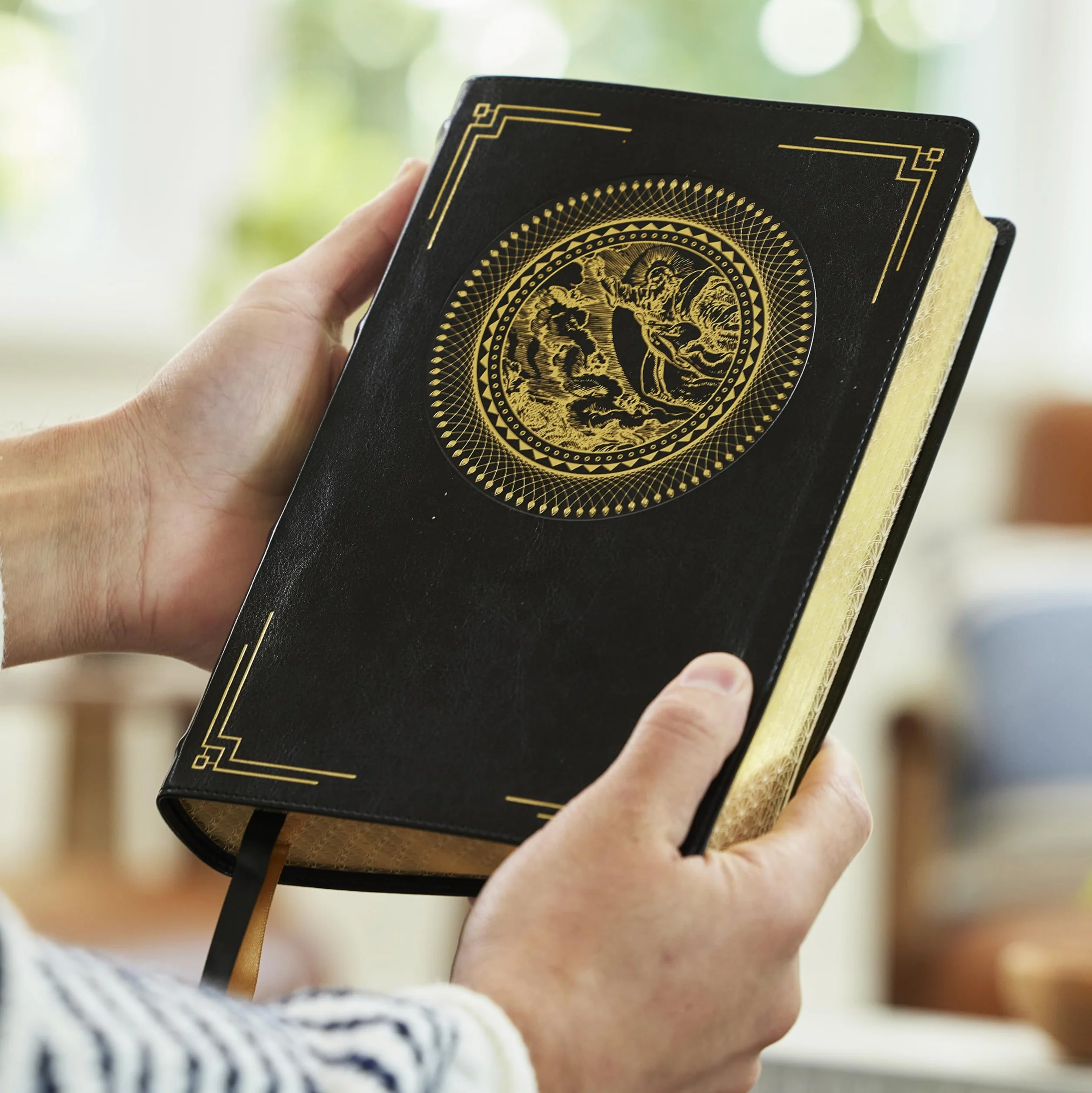 Nrsvce, Illustrated Catholic Bible, Leathersoft, Comfort Print: Holy Bible