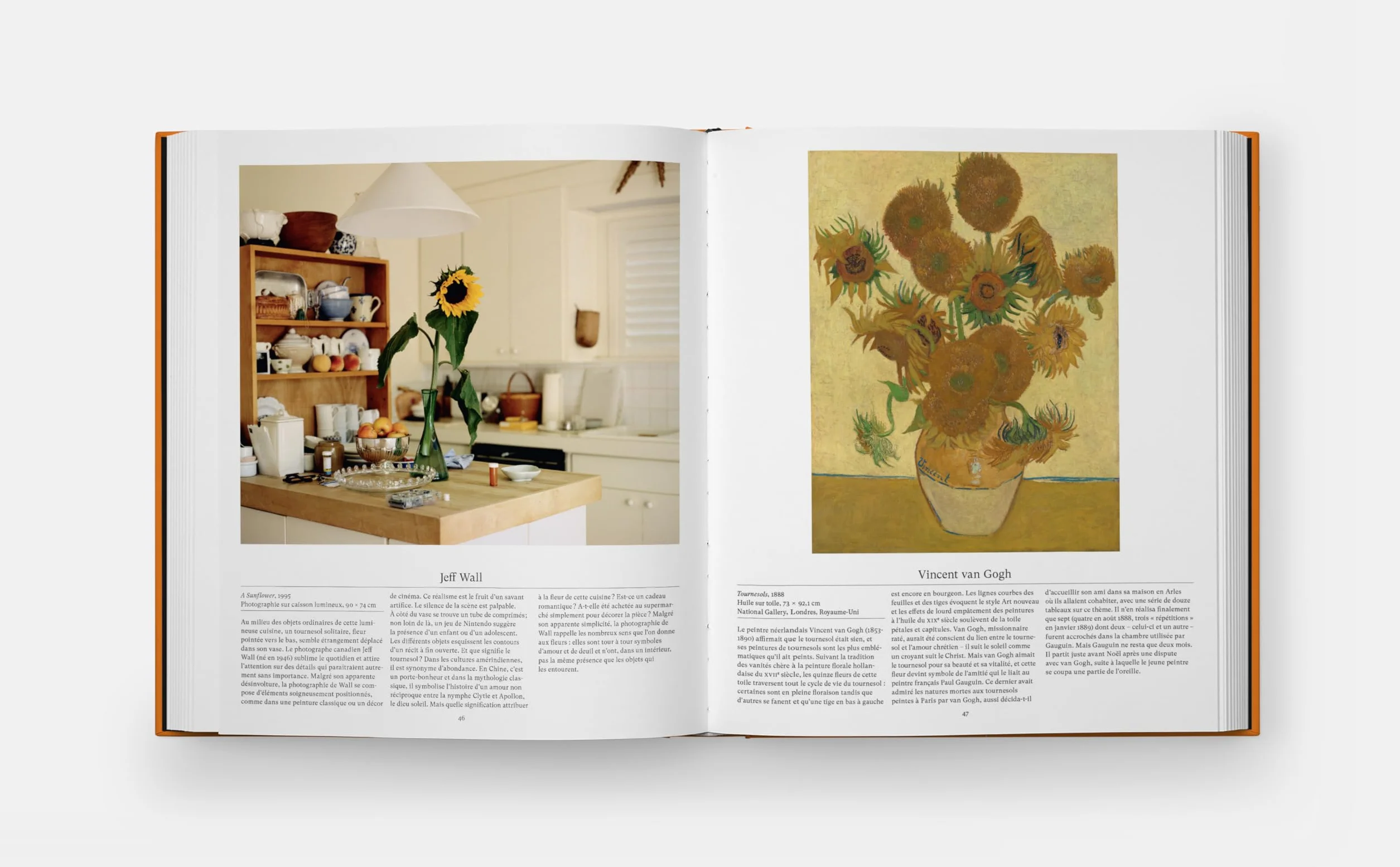 Explorer le monde floral