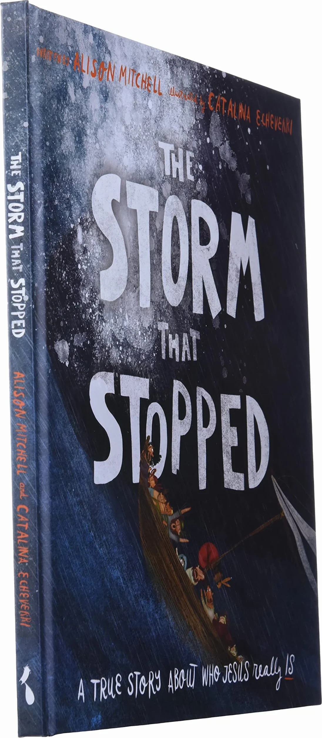 The Storm That Stopped Storybook: A True Story about Who Jesus Really Is