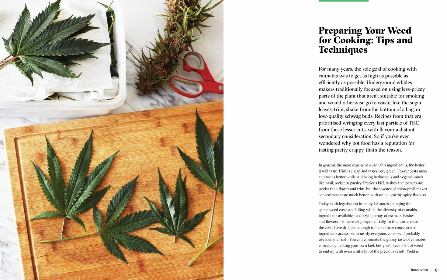 Bong Appétit: Mastering the Art of Cooking with Weed