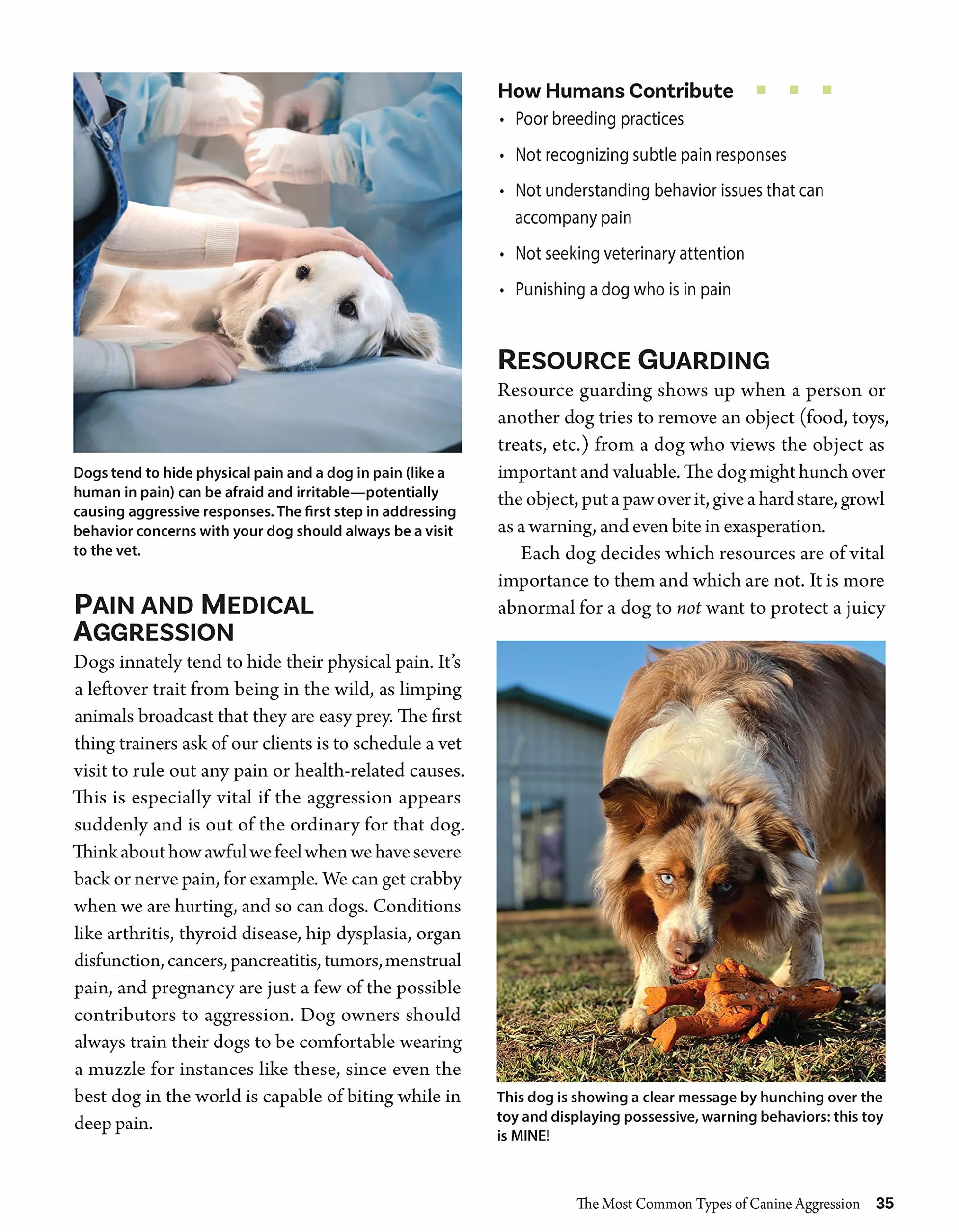 Positive Training for Aggressive and Reactive Dogs: Proven Techniques to Help Your Dog Overcome Fear and Anxiety