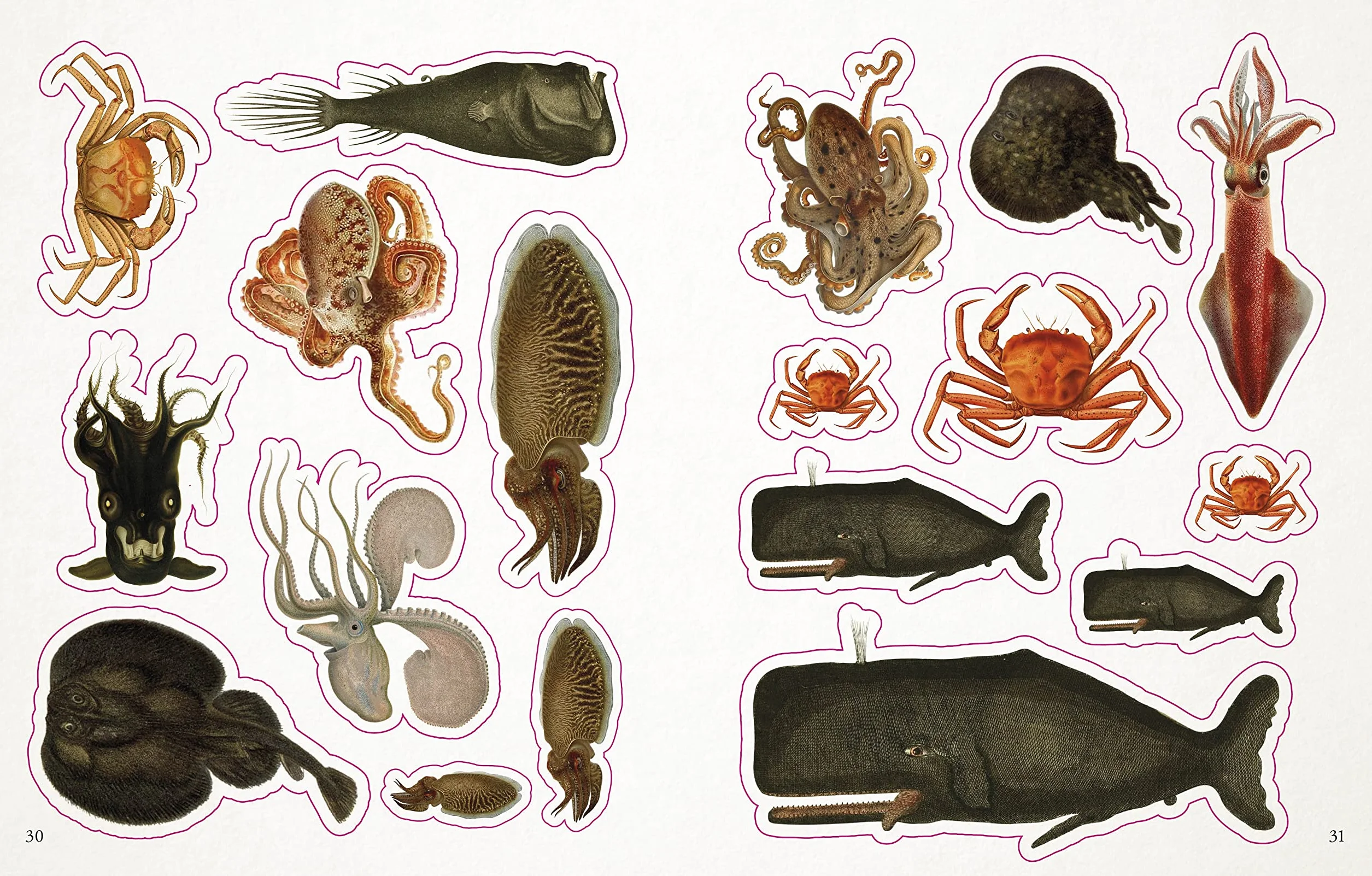 The Seashore Sticker Anthology: 1,000+ Vintage Stickers