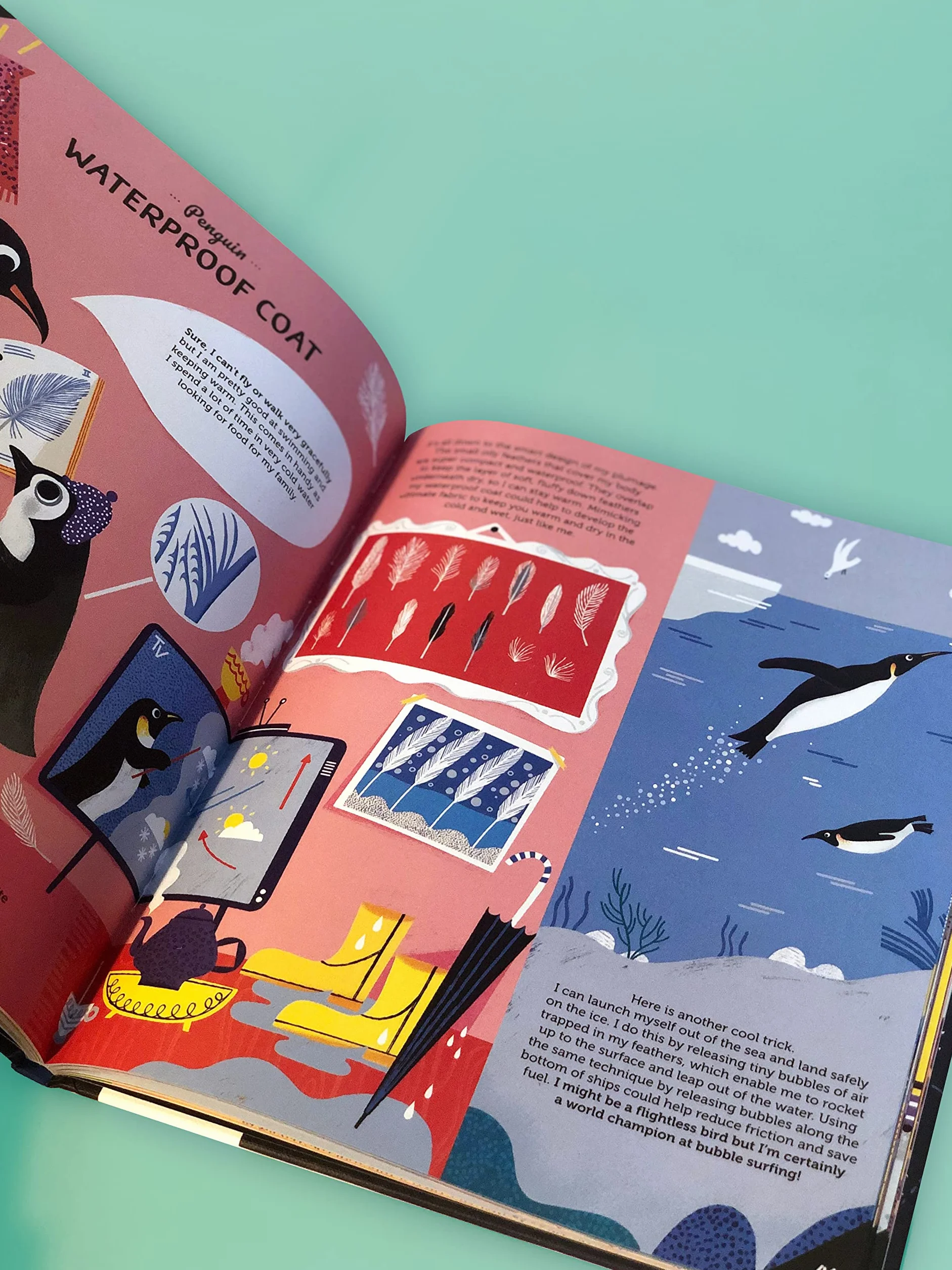 Invented by Animals: Meet the creatures who inspired our everyday technology