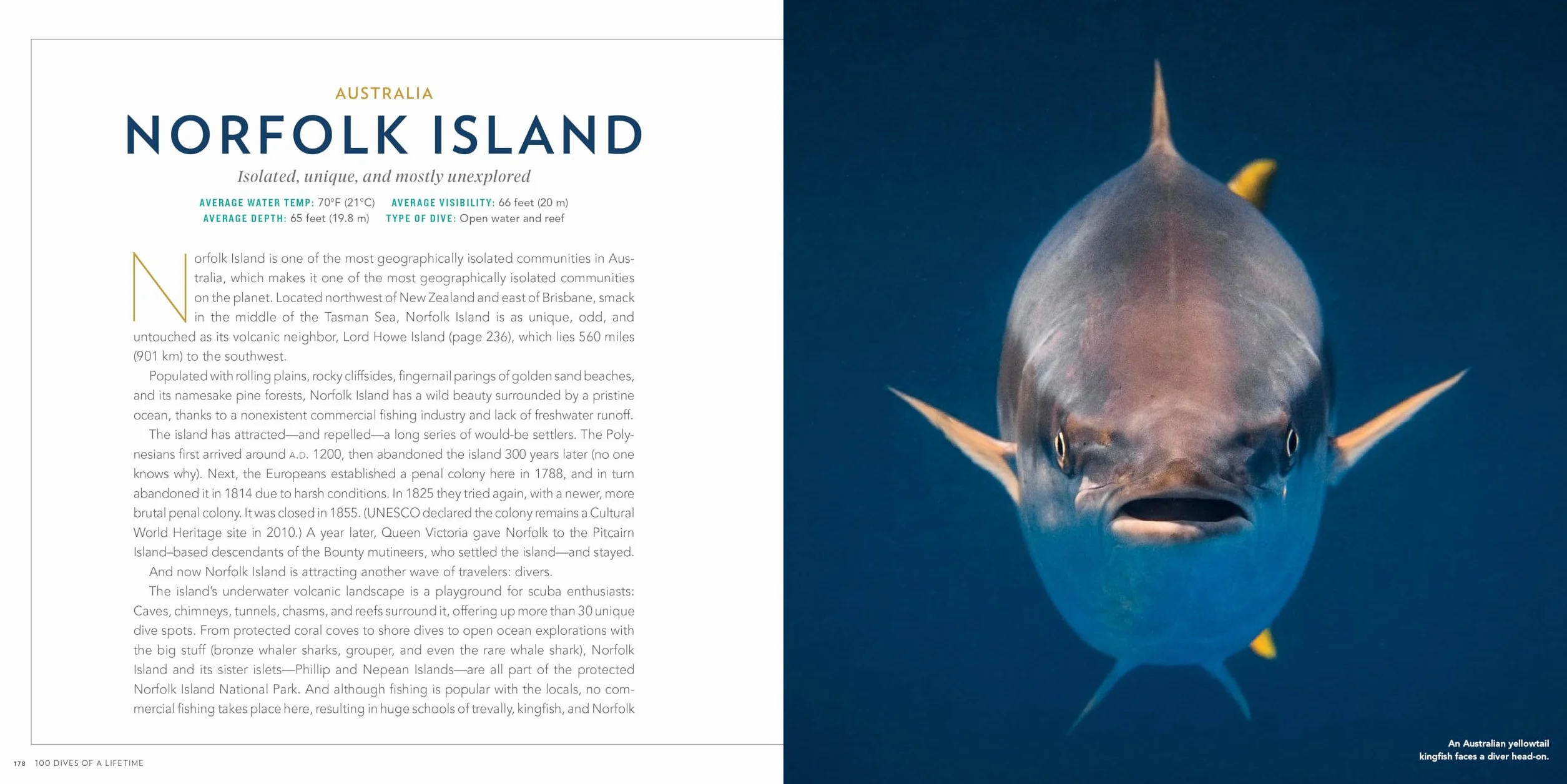 100 Dives of a Lifetime: The World's Ultimate Underwater Destinations