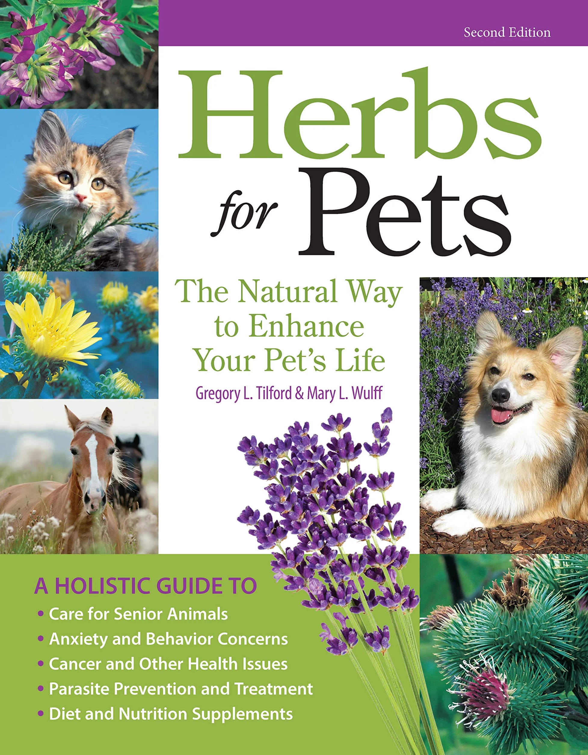 Herbs for Pets: The Natural Way to Enhance Your Pet's Life