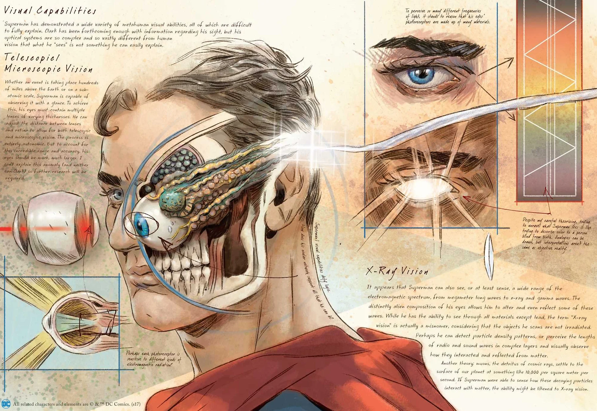 DC Comics: Anatomy of a Metahuman