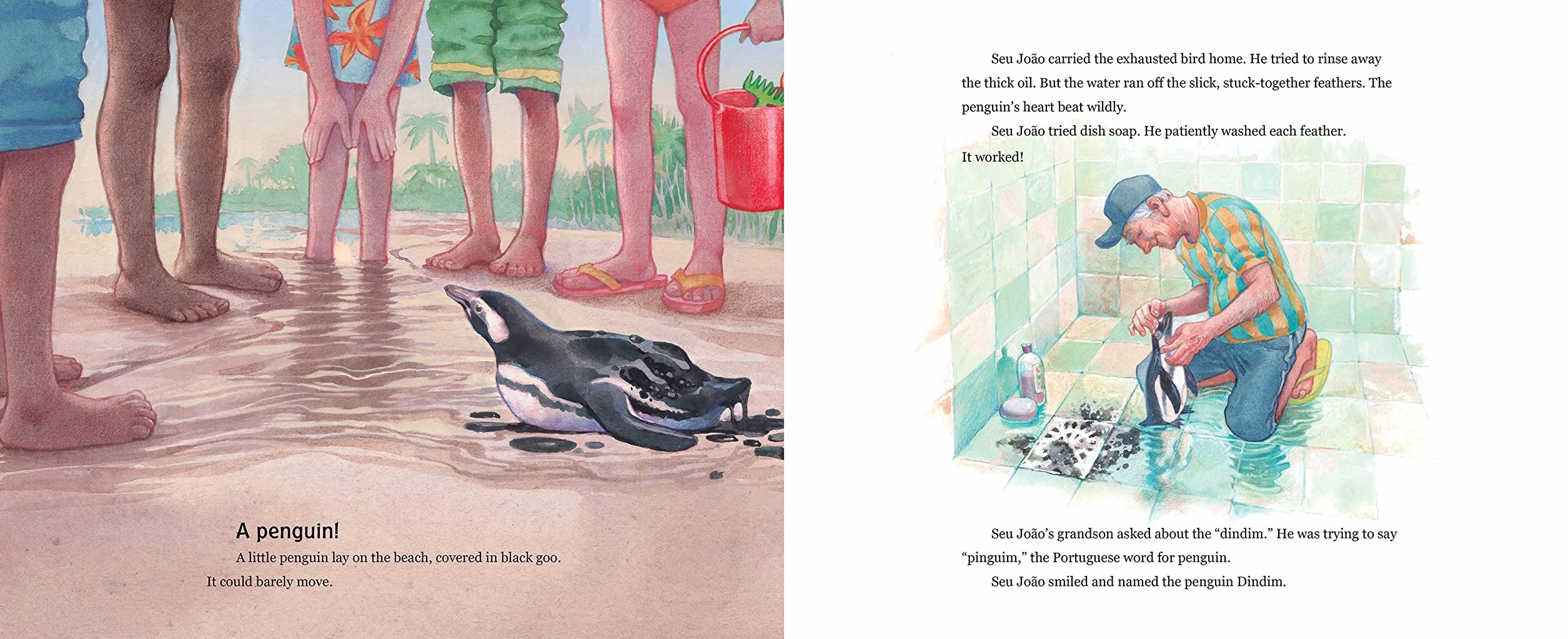 The Penguin of Ilha Grande: From Animal Rescue to Extraordinary Friendship