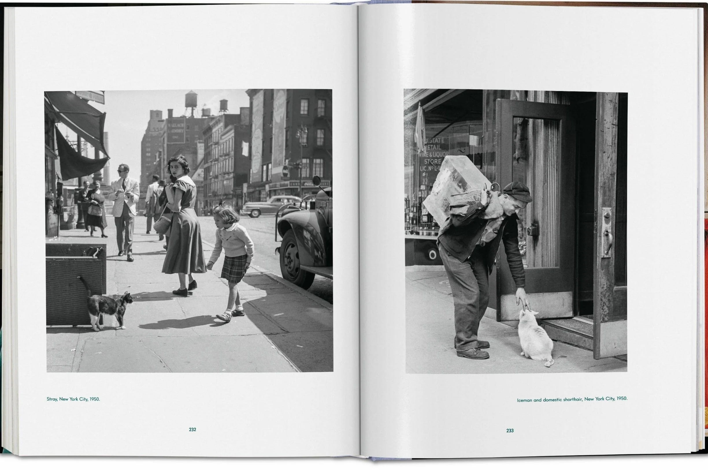 Cats Photographs 1942-2018