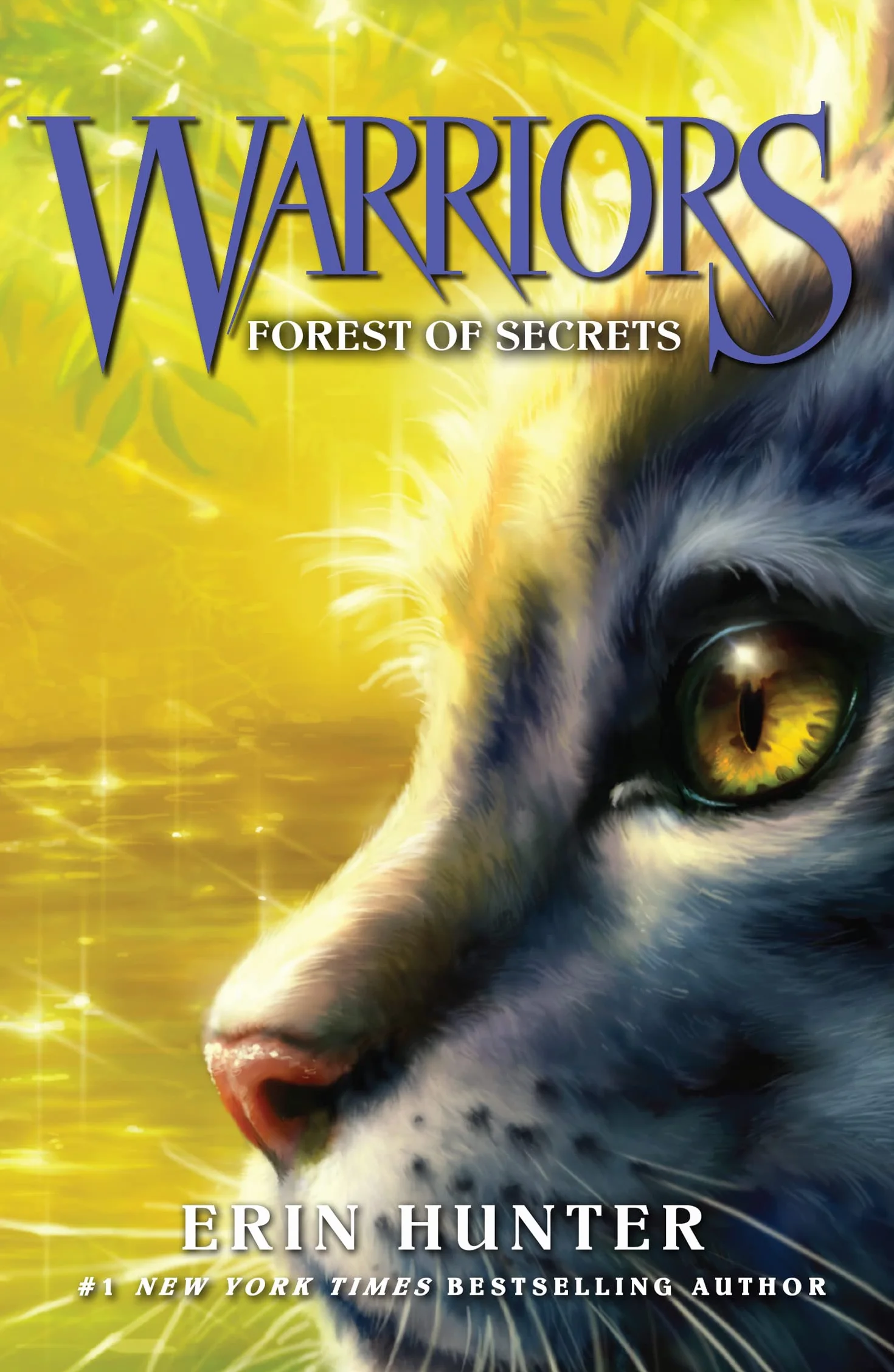 Warrior Cats: Forest of Secrets, Book 3