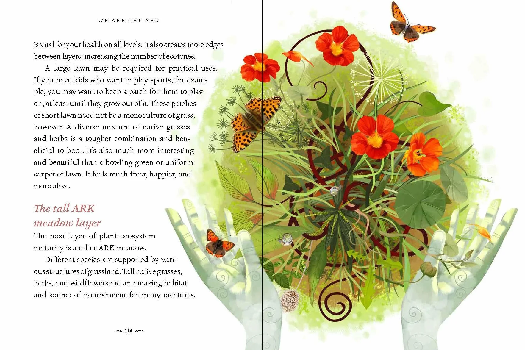 We Are the Ark: Returning Gardens to Their True Nature Through Restorative Kindness
