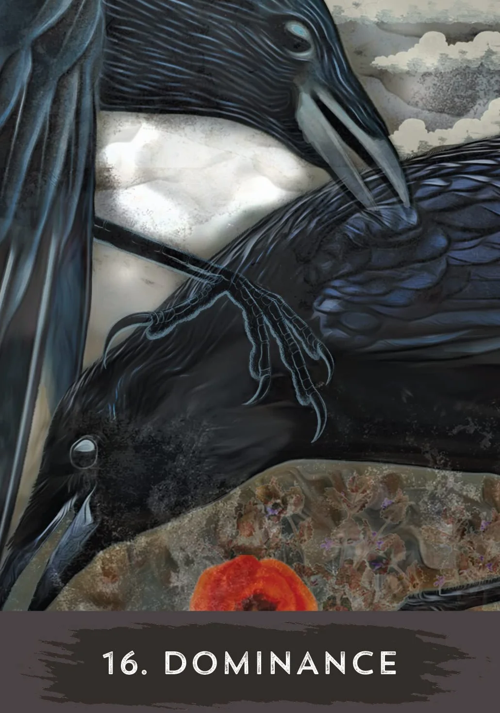 Urban Crow Oracle: 54-Card Deck and Guidebook