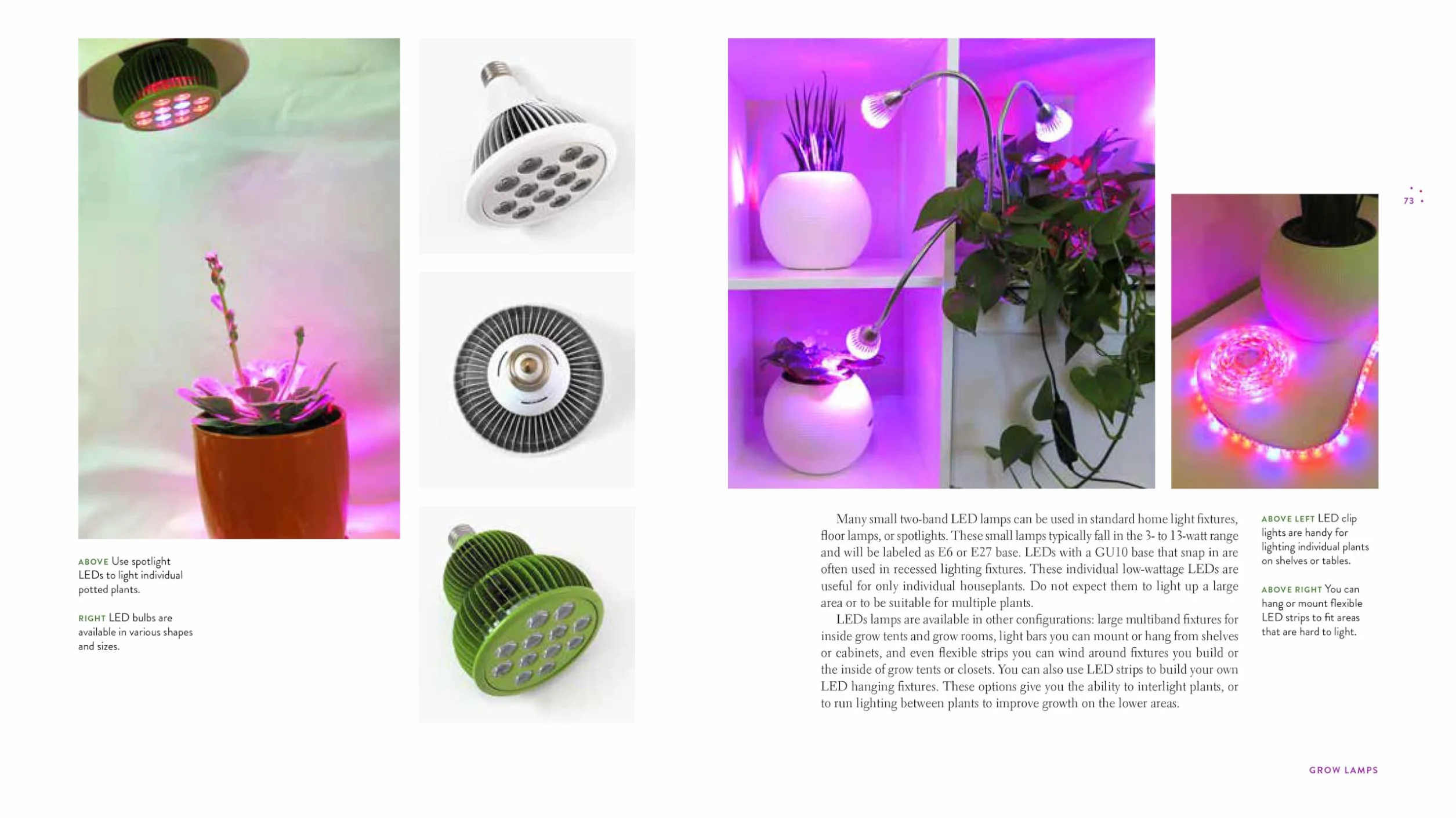 Gardening Under Lights: The Complete Guide for Indoor Growers