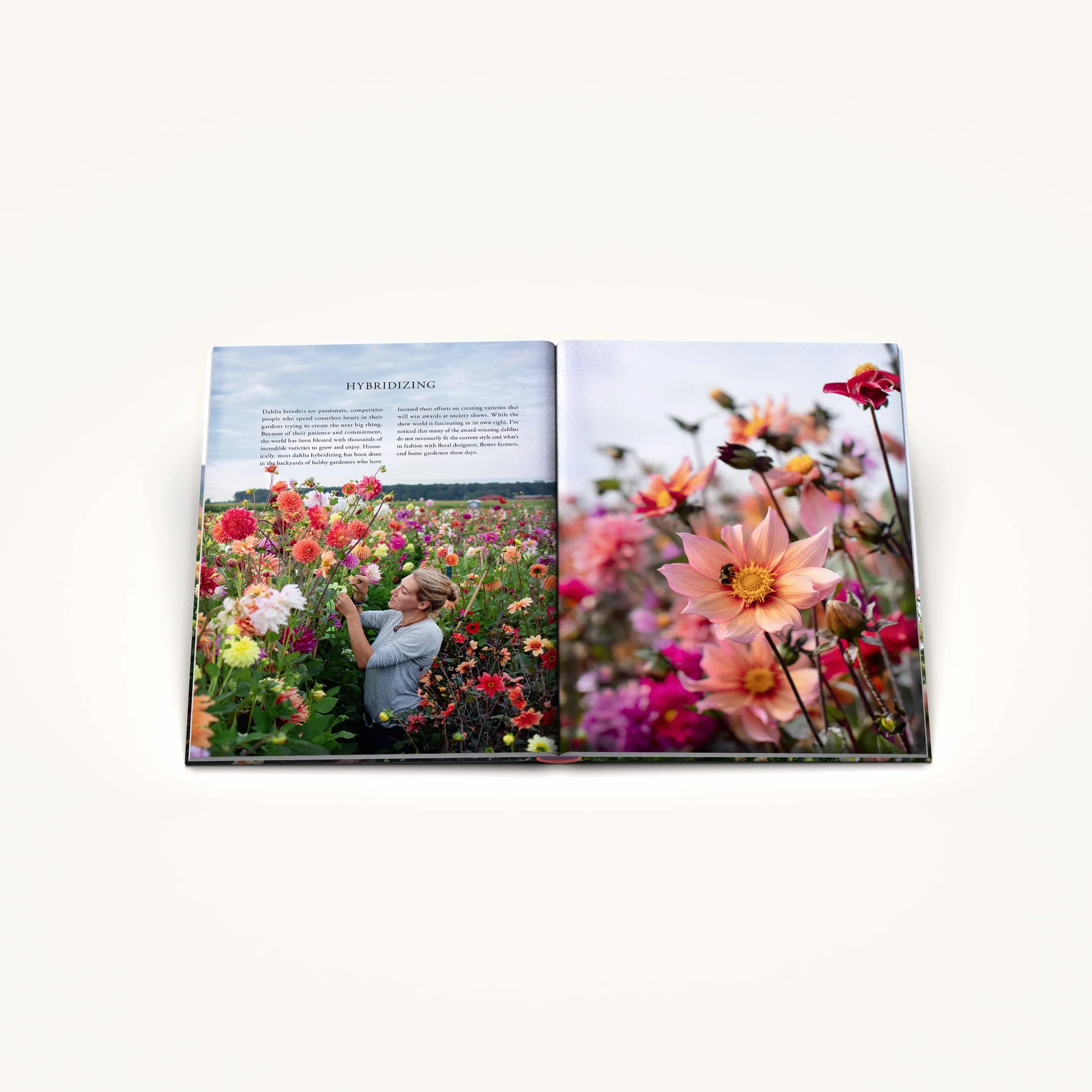 Floret Farm's Discovering Dahlias: A Guide to Growing and Arranging Magnificent Blooms