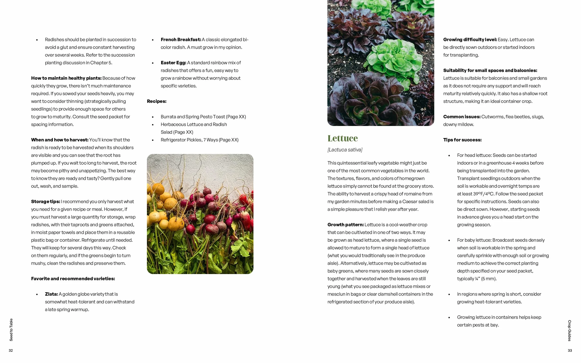 Seed to Table: A Seasonal Guide to Organically Growing, Cooking, and Preserving Food at Home (Kitchen Garden, Urban Gardening)