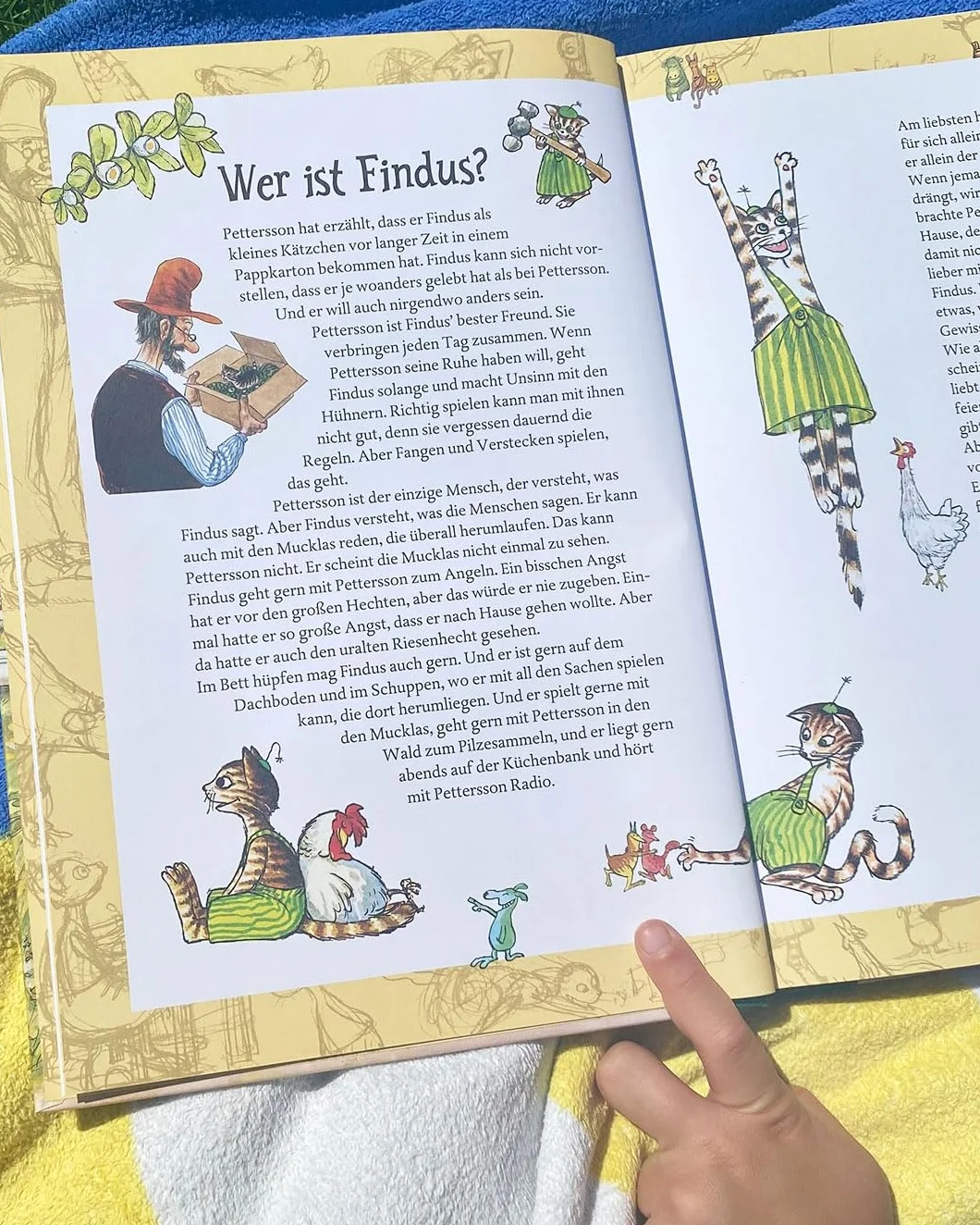 Pettersson und Findus. Unsere schönsten Abenteuer
