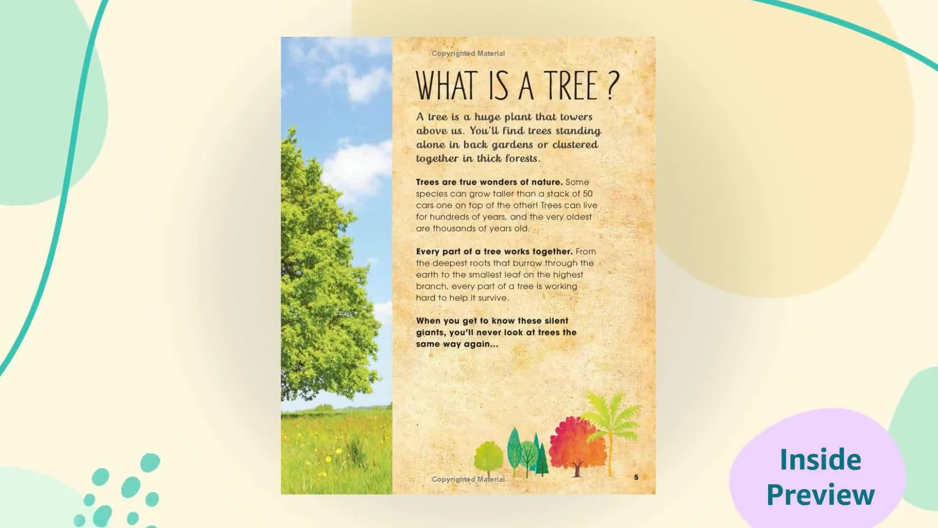 The Magic and Mystery of Trees (The Magic and Mystery of Nature)