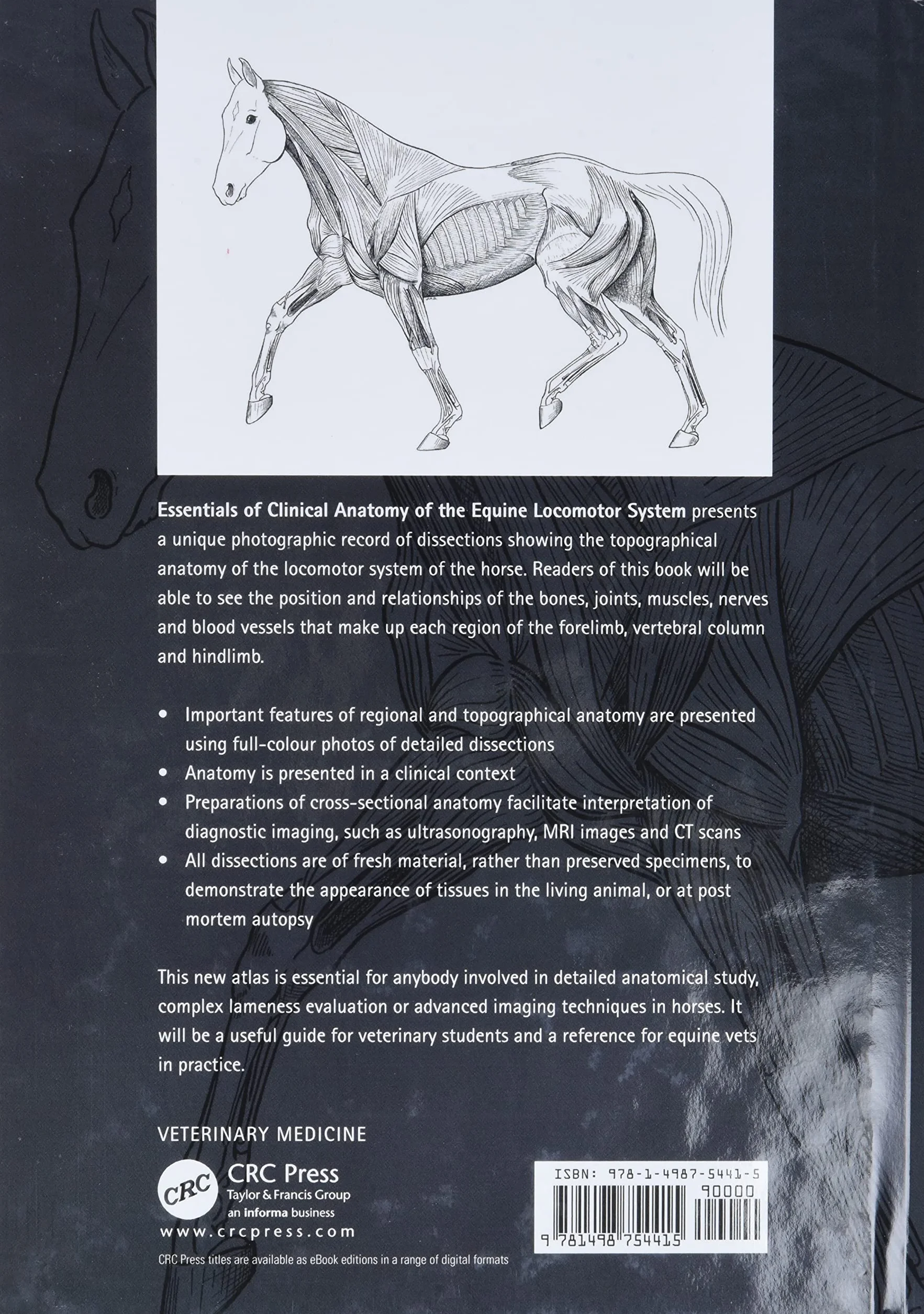 Clinical Anatomy of the Equine Locomotor System