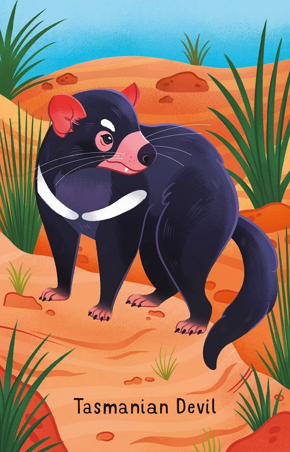 Australian Animal Snap Cards
