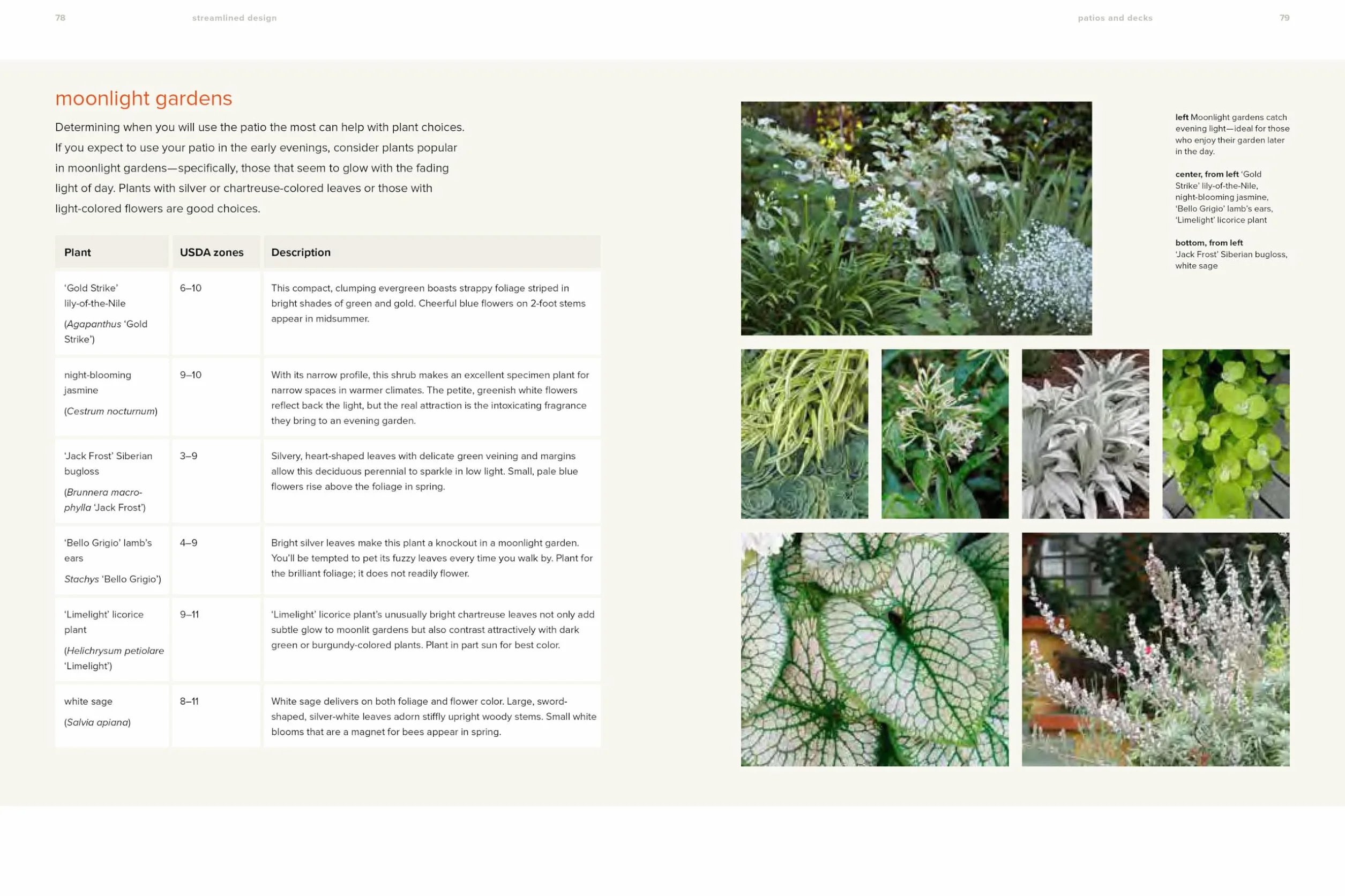 The Less Is More Garden: Big Ideas for Designing Your Small Yard