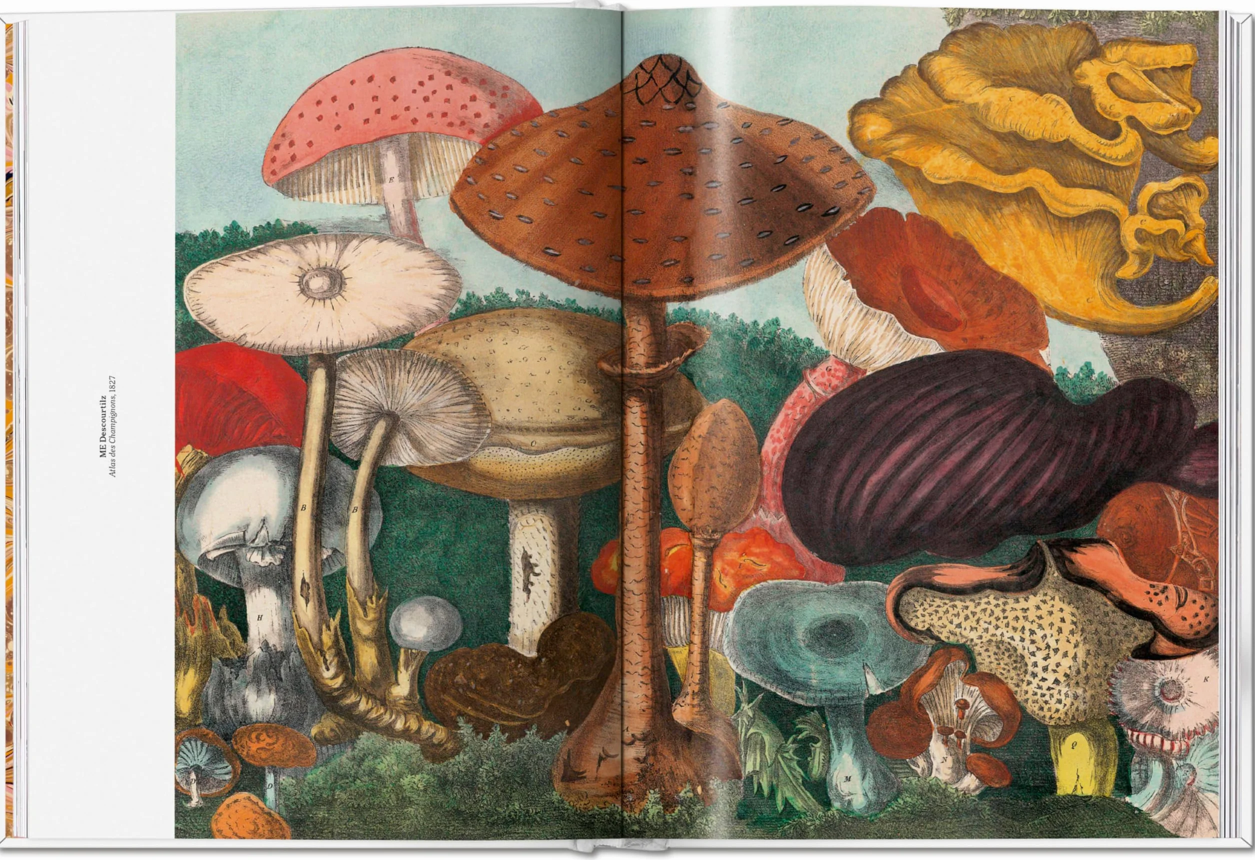 The Gourmand's Mushroom: A Collection of Stories & Recipes