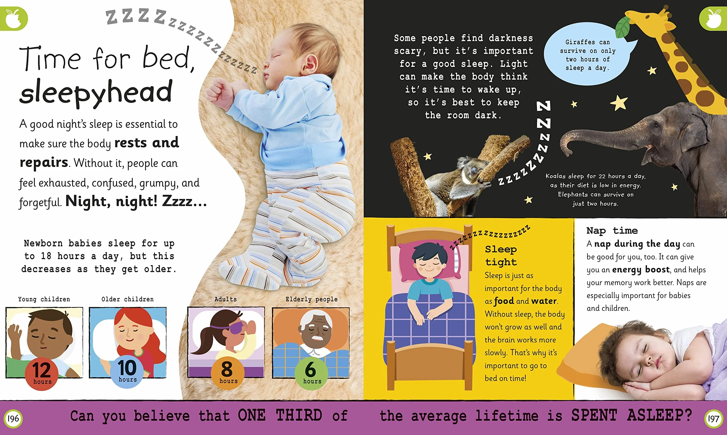 My Very Important Human Body Encyclopedia: For Little Learners