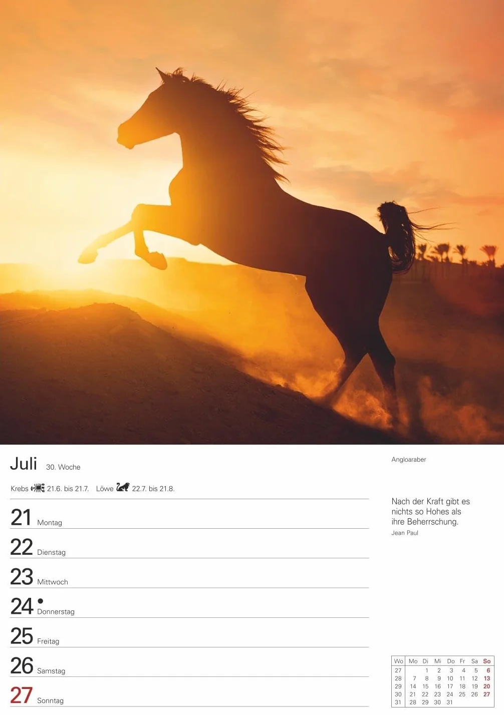 Pferde Wochenplaner 2025 - 53 Blatt mit Zitaten und Wochenchronik: Wochenkalendarium, Zitate und Pferdefotos in einem praktischen Termin-Kalender. ... Fotokalender mit Raum für Notizen