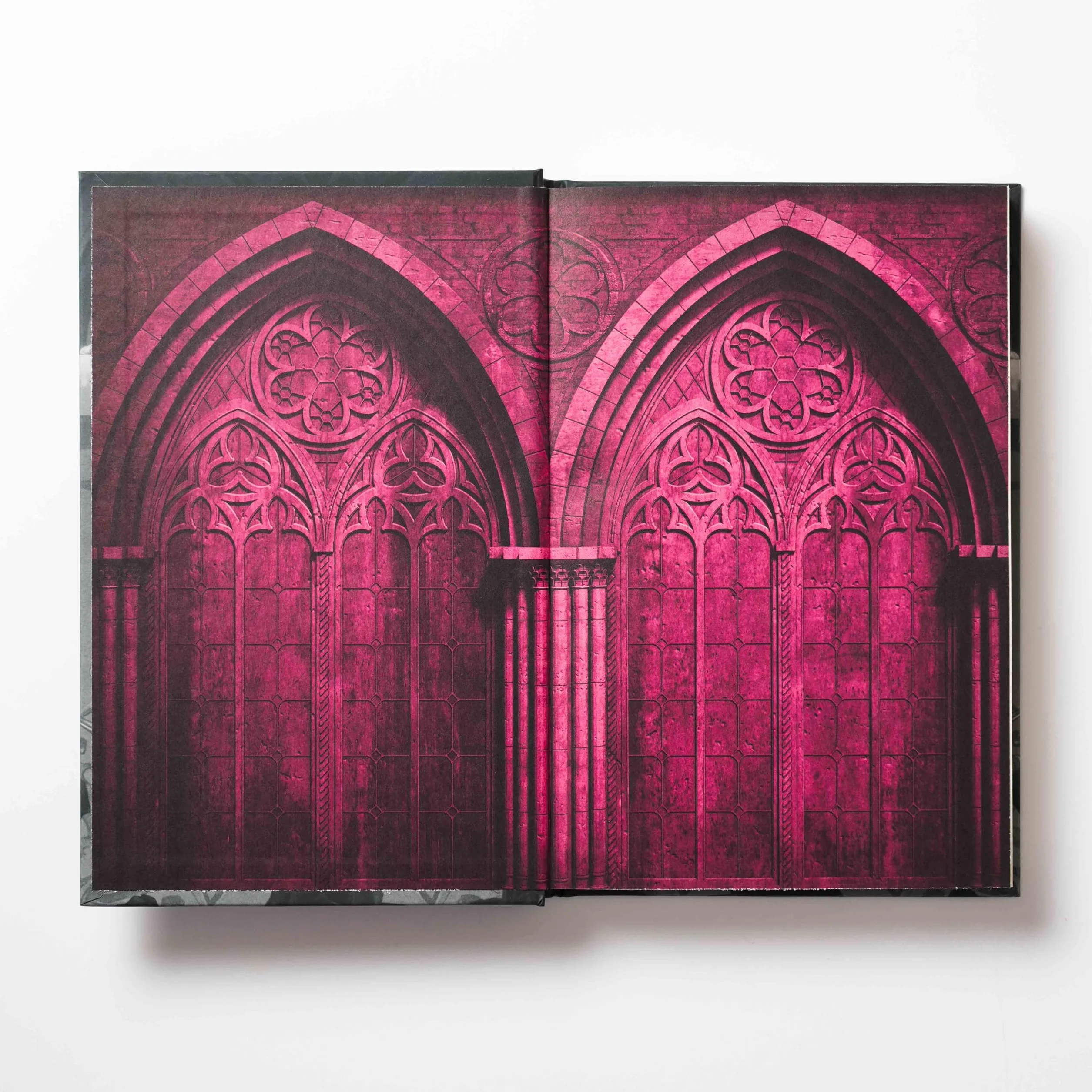 The Book of Blood and Roses: 1
