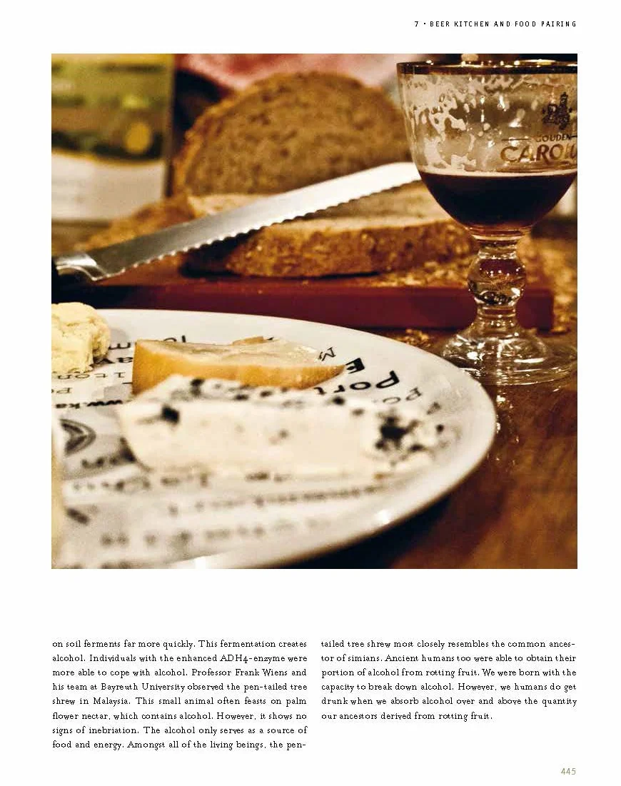 The Belgian Beer Book /anglais
