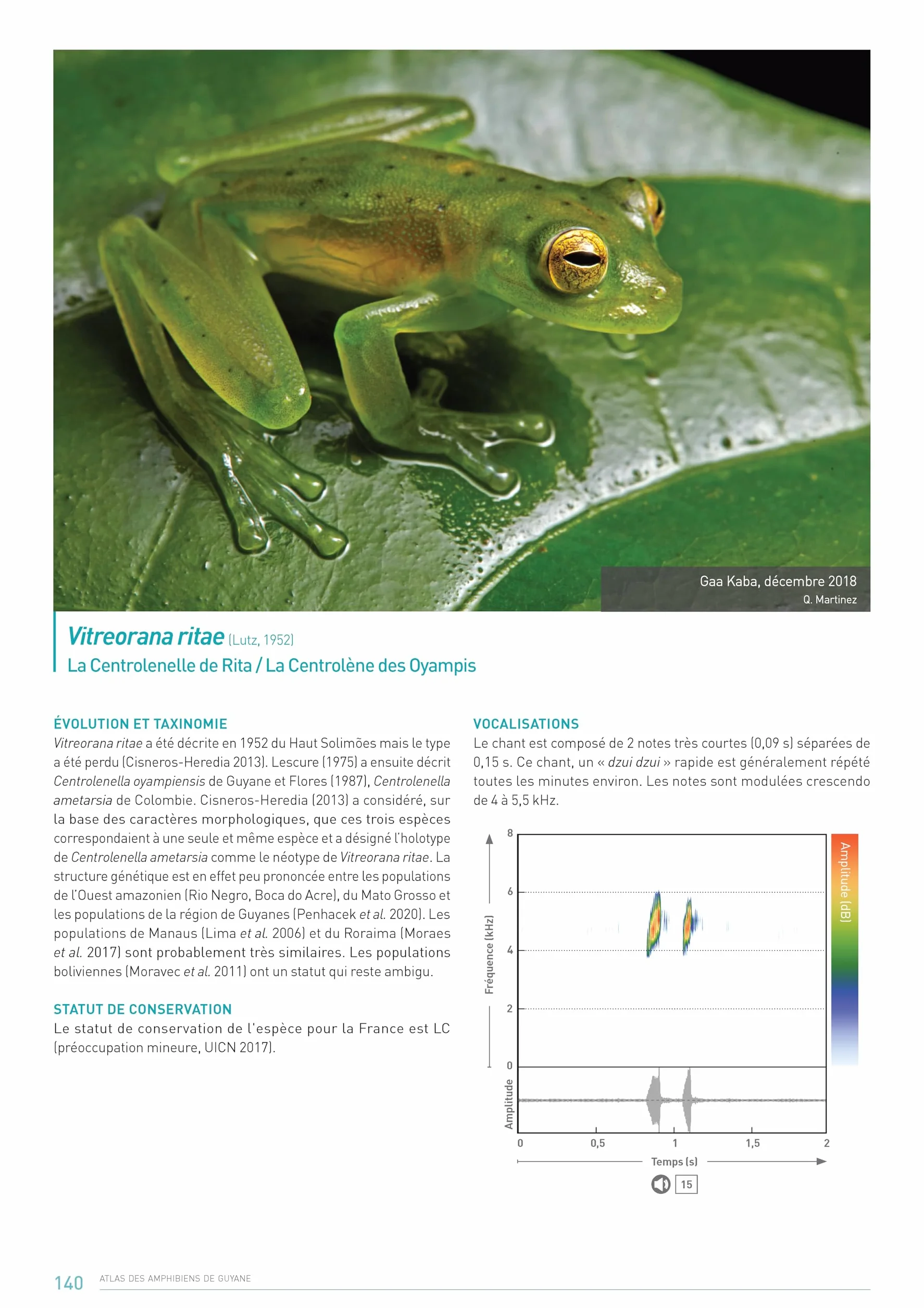 Atlas des Amphibiens de Guyane