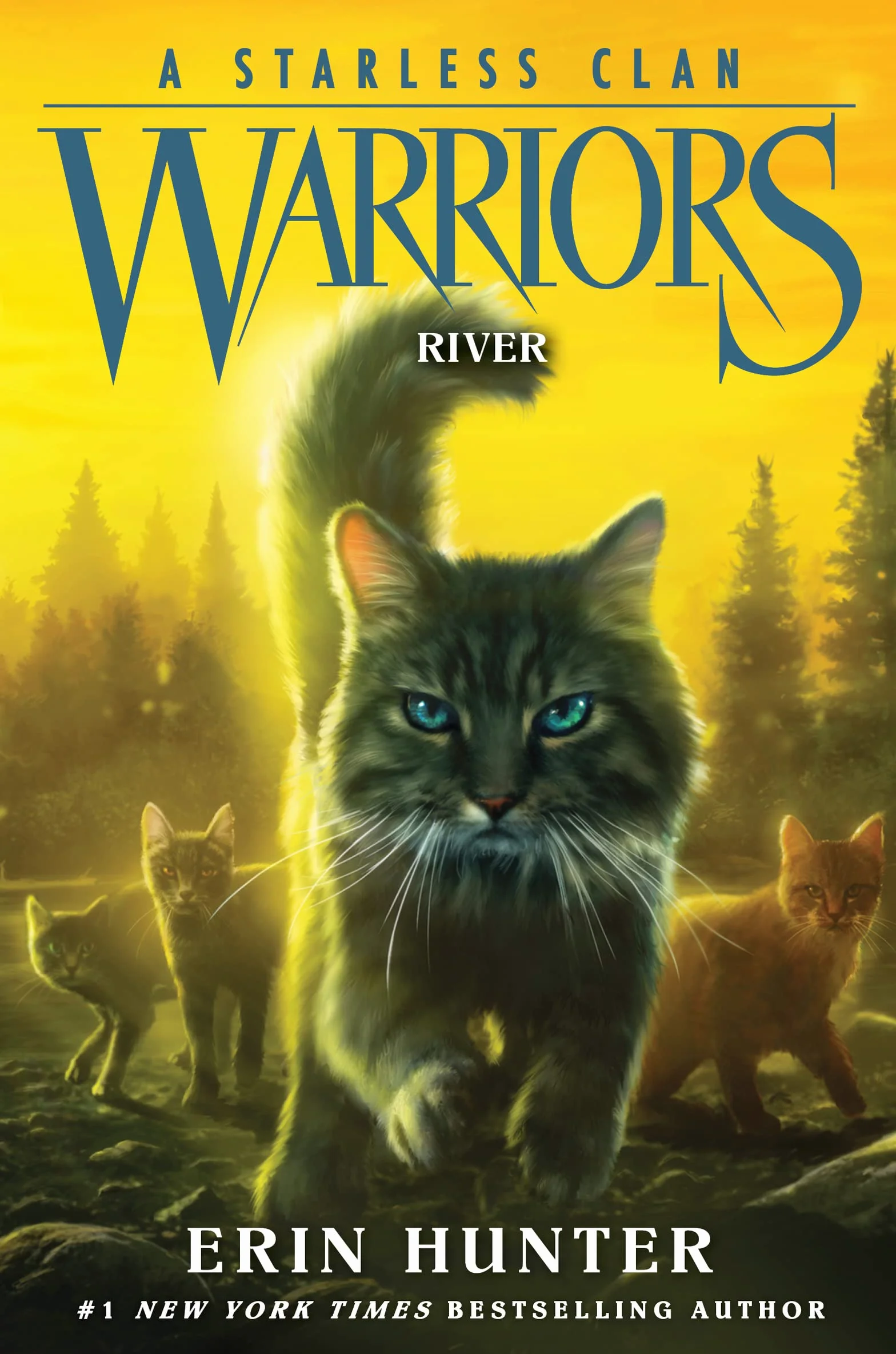 Warriors: A Starless Clan #1: River