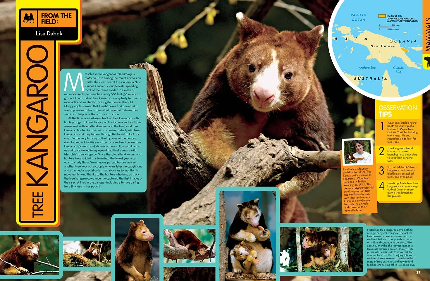 Animal Encyclopedia: 2,500 Animals with Photos, Maps & More