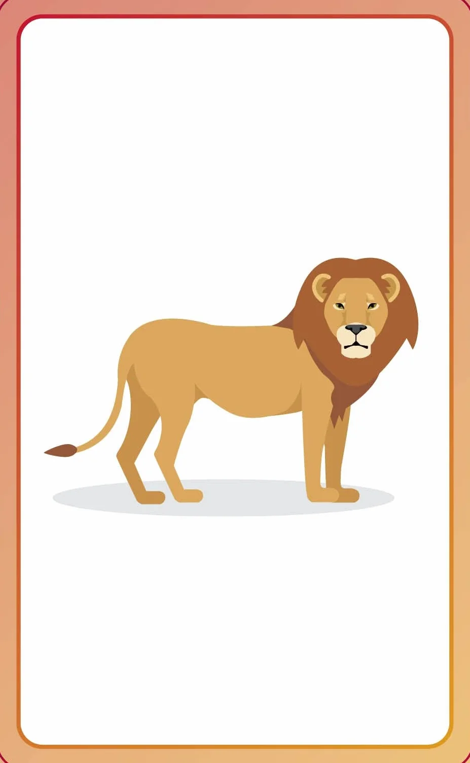 English for Everyone Junior First Words Animals Flash Cards