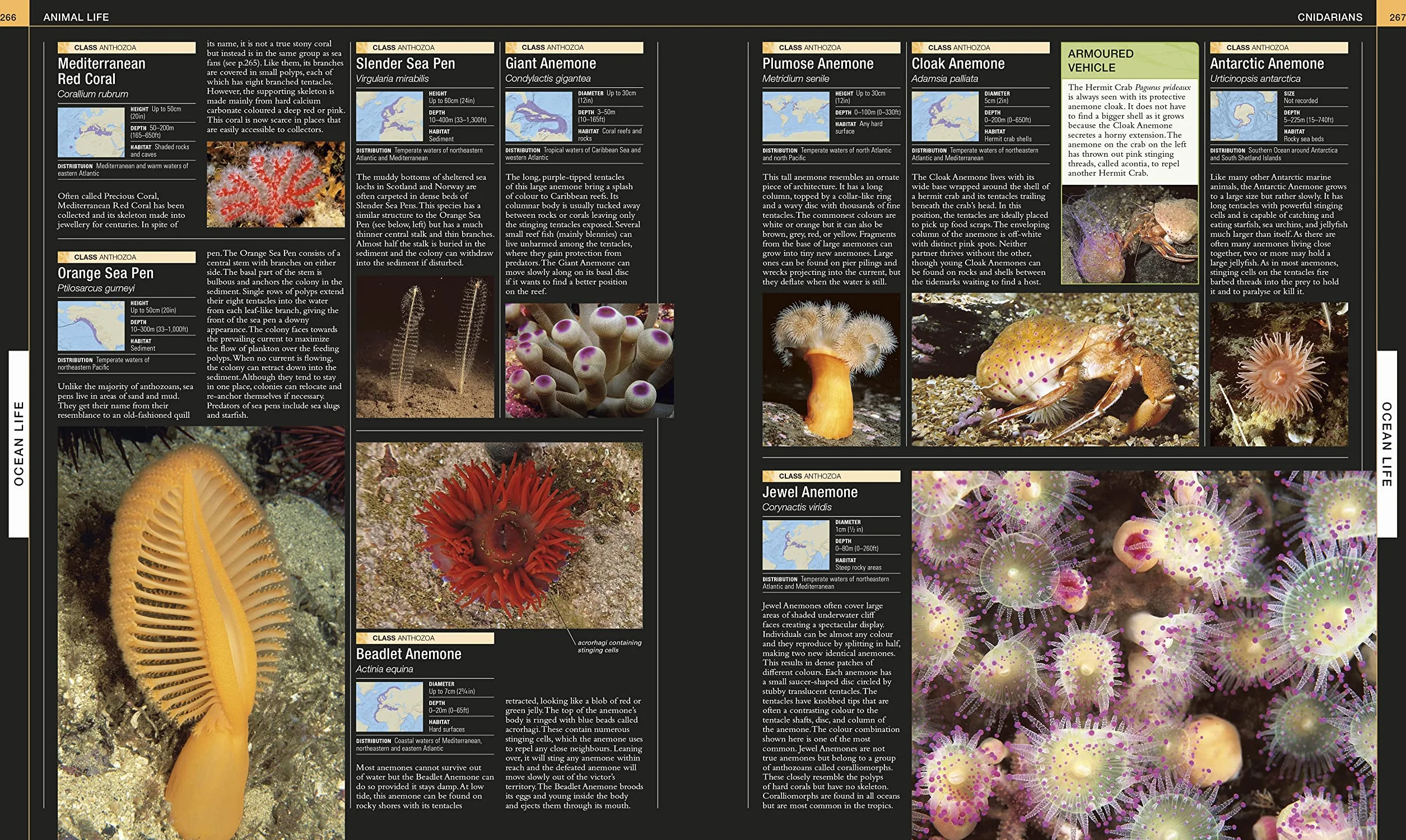 Ocean: The Definitive Visual Guide