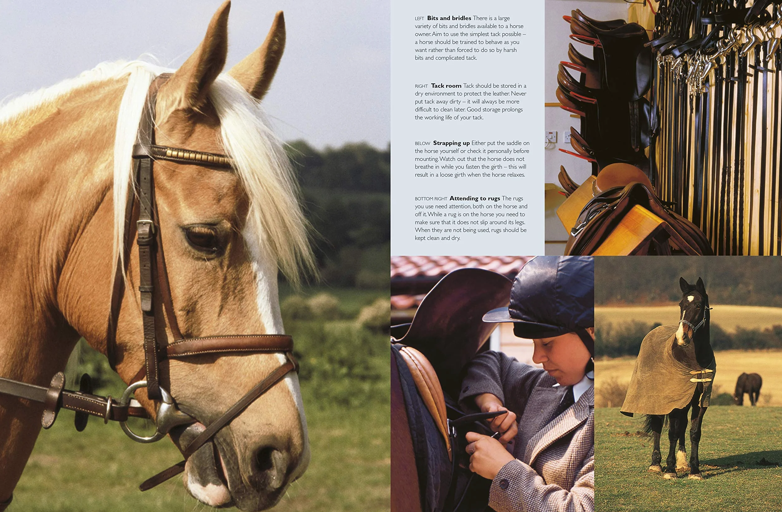 Complete Horse Care Manual