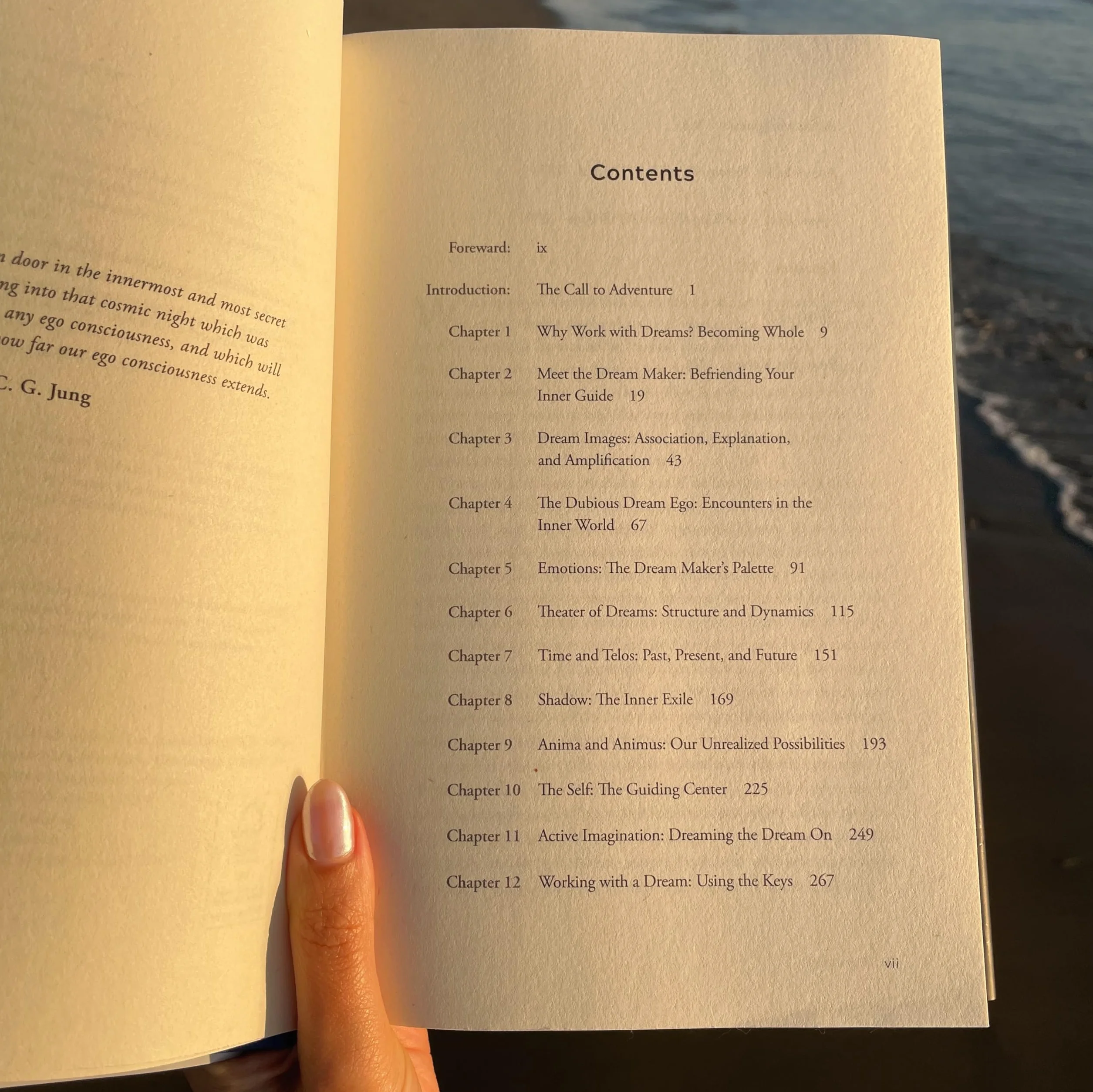 Dream Wise: Unlocking the Meaning of Your Dreams