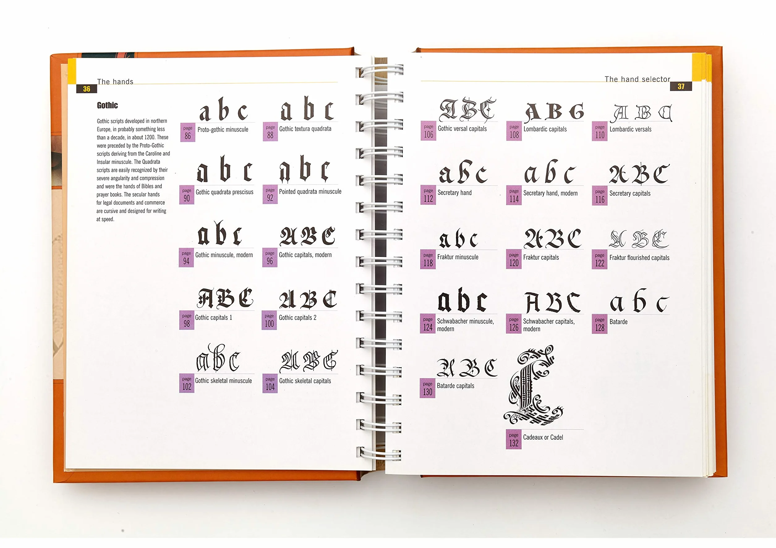 The Calligrapher's Bible: 100 Complete Alphabets and How to Draw Them