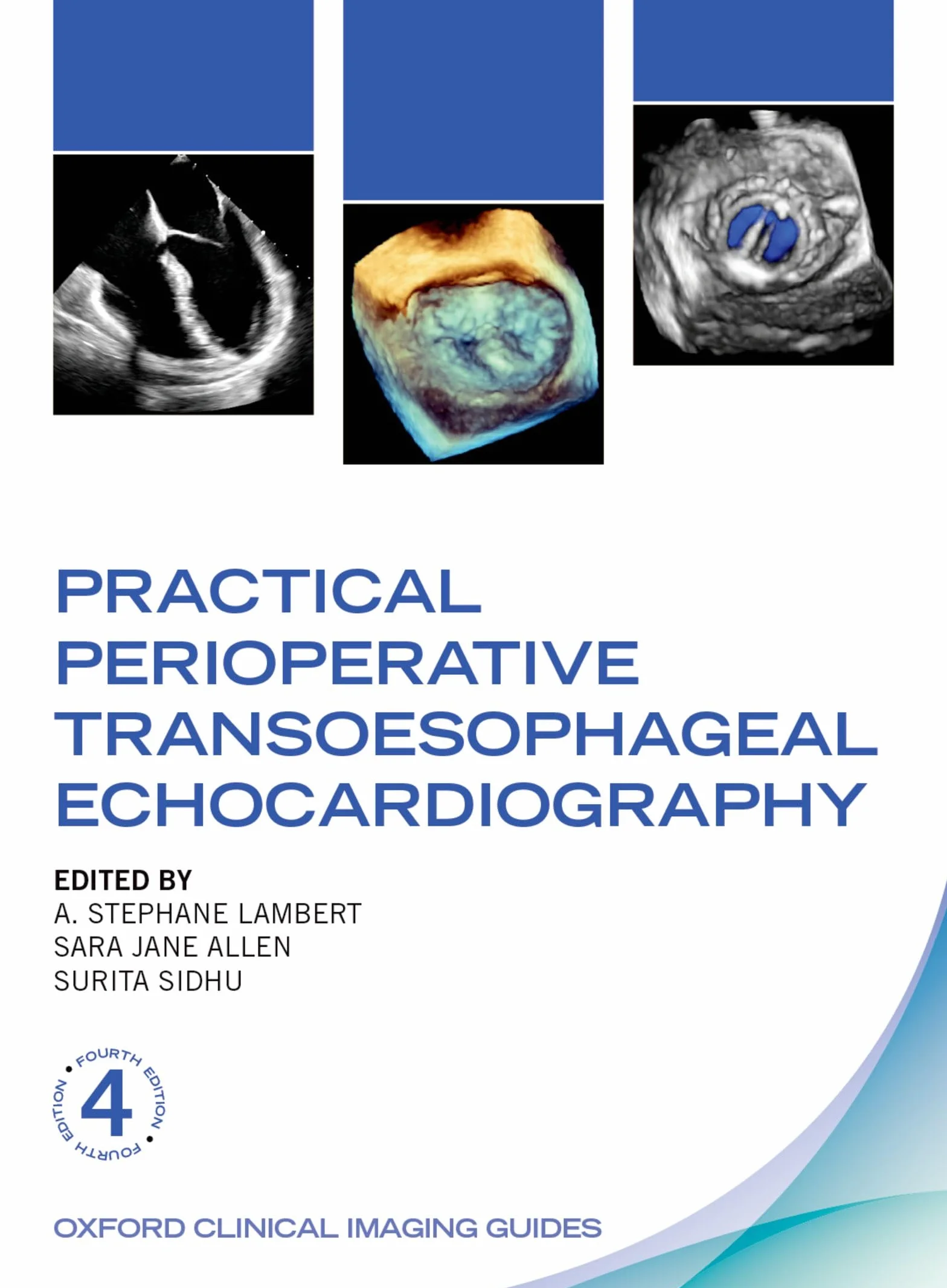 Practical Perioperative Transoesophageal Echocardiography