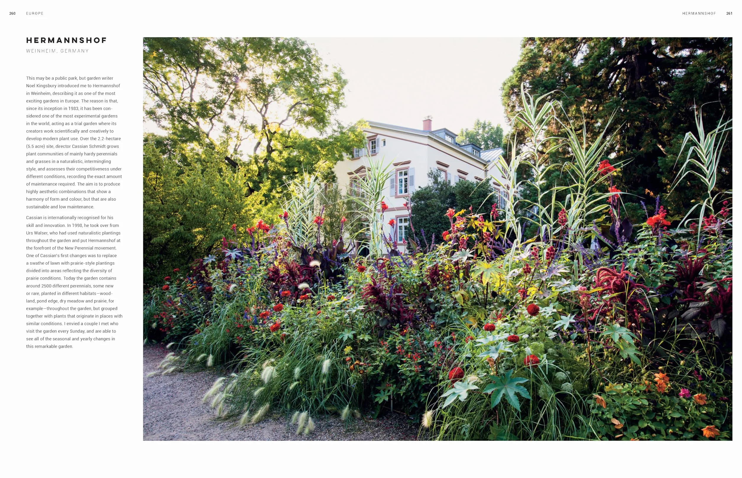 Dreamscapes: Inspiration and Beauty in Gardens Near and Far