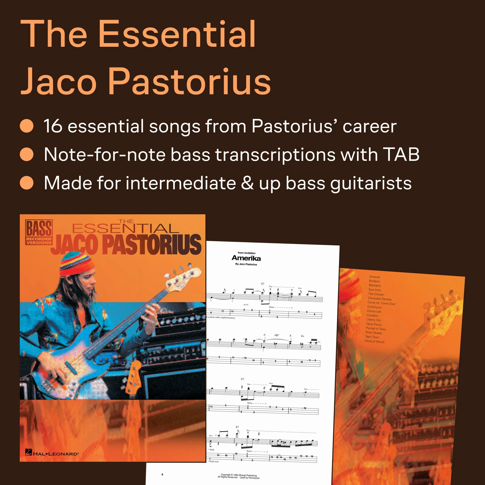 Jaco Pastorius Bass Recorded Versions 16 Titres