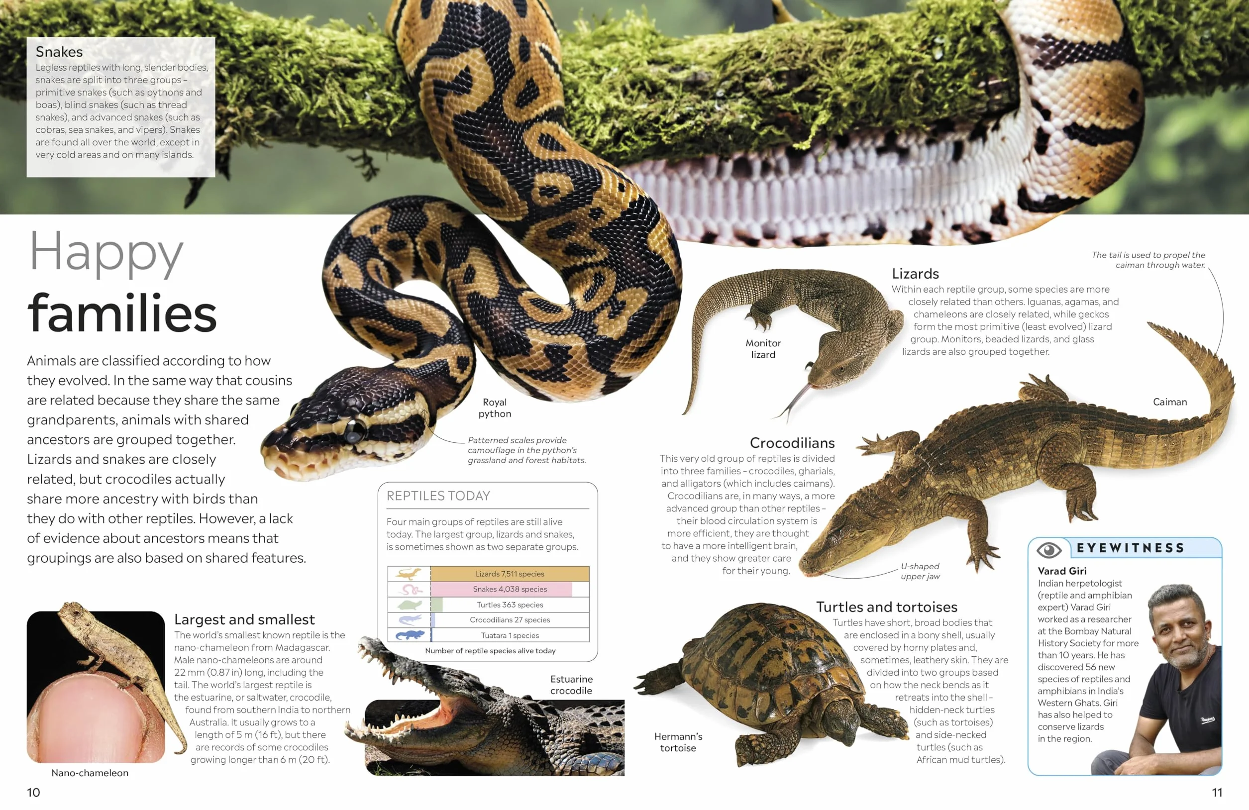 DK Eyewitness Reptile