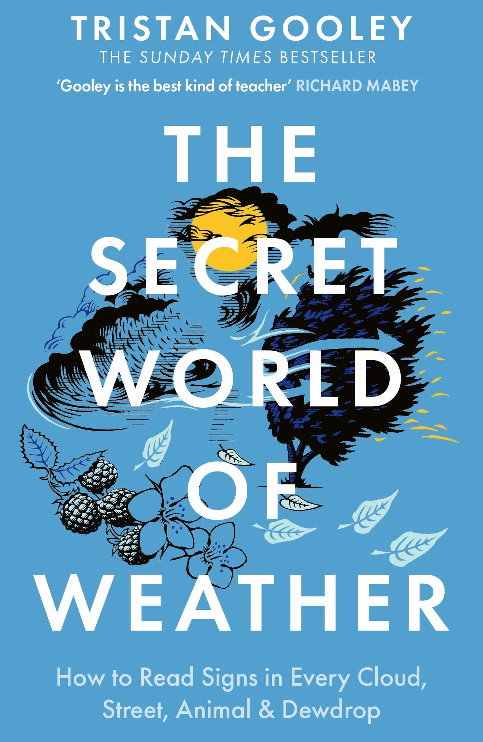 The Secret World of Weather: A Must-Have for Nature Lovers
